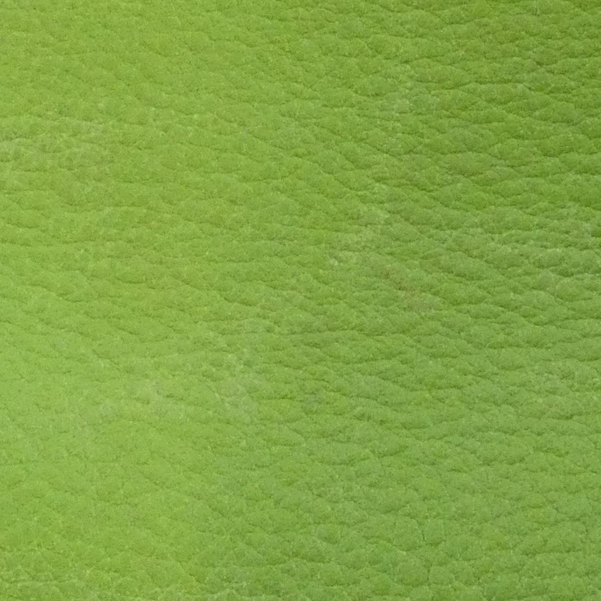 Hermes Apple Green Gulliver Leather Shoulder Bag (Pre-Owned)