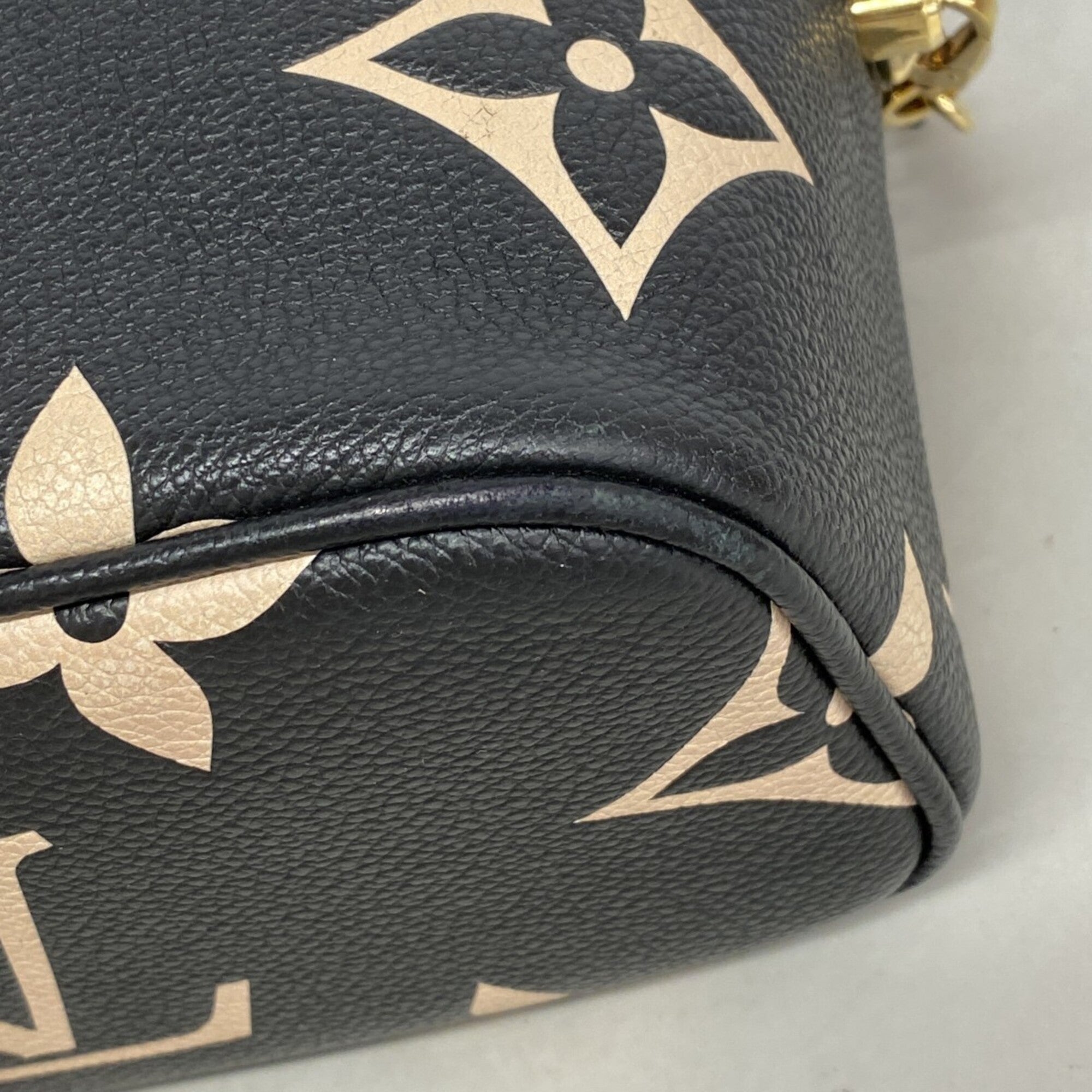 Louis Vuitton Beige Black Vanity Bag (Pre-Owned)