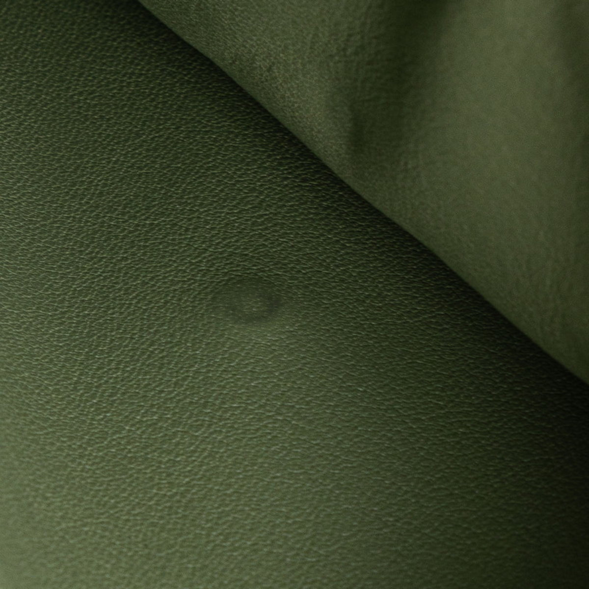 Loewe Green Leather Wallet (Tri-Fold) (Pre-Owned)