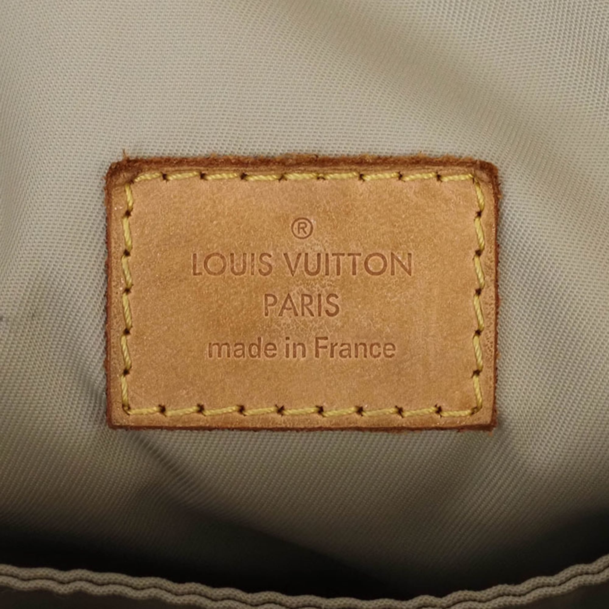 Louis Vuitton Earth Damier Geant Shoulder Bag (Pre-Owned)