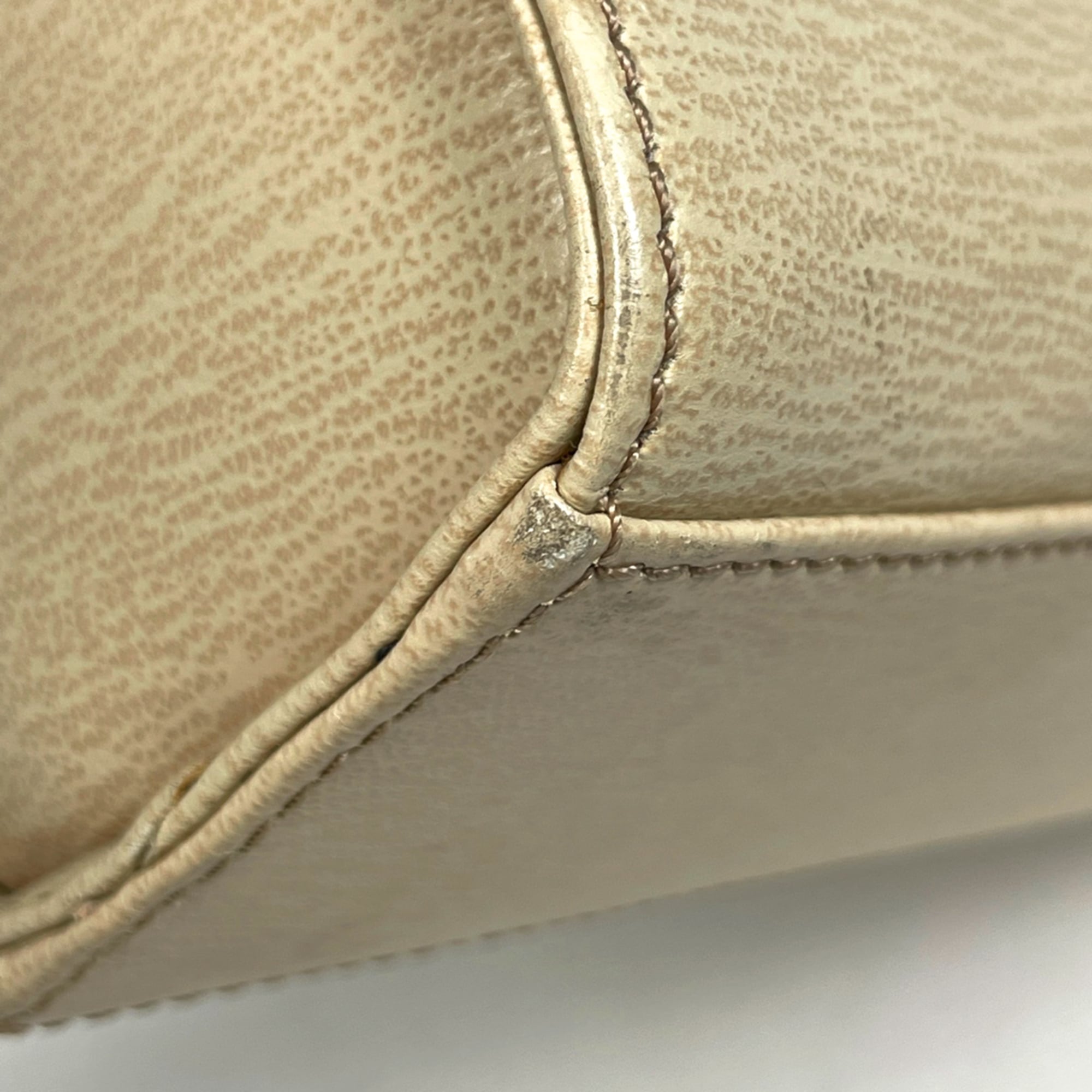 Loewe Ivory Light Green Leather Handbag (Pre-Owned)