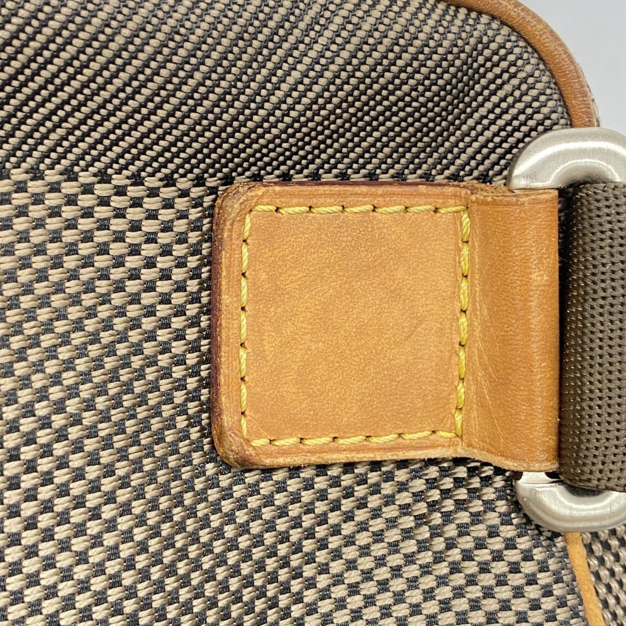Louis Vuitton Earth Sling Bag (Pre-Owned)