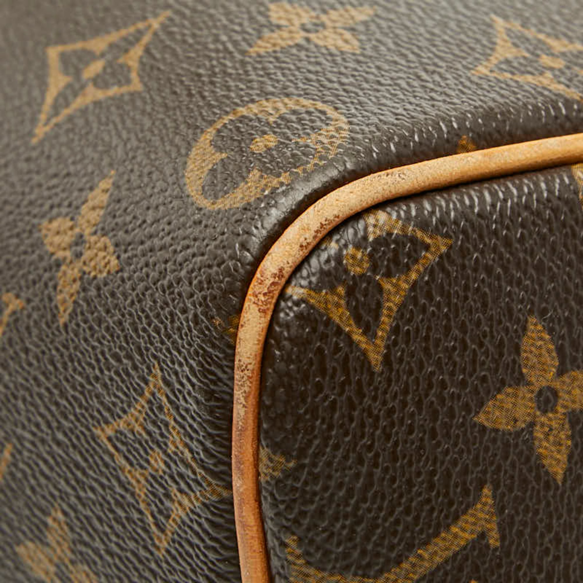 Louis Vuitton Brown Pvc Leather Handbag (Pre-Owned)