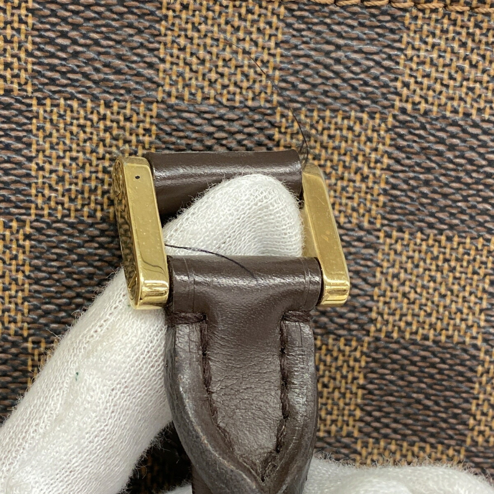 Louis Vuitton Ebene Tote Bag (Pre-Owned)