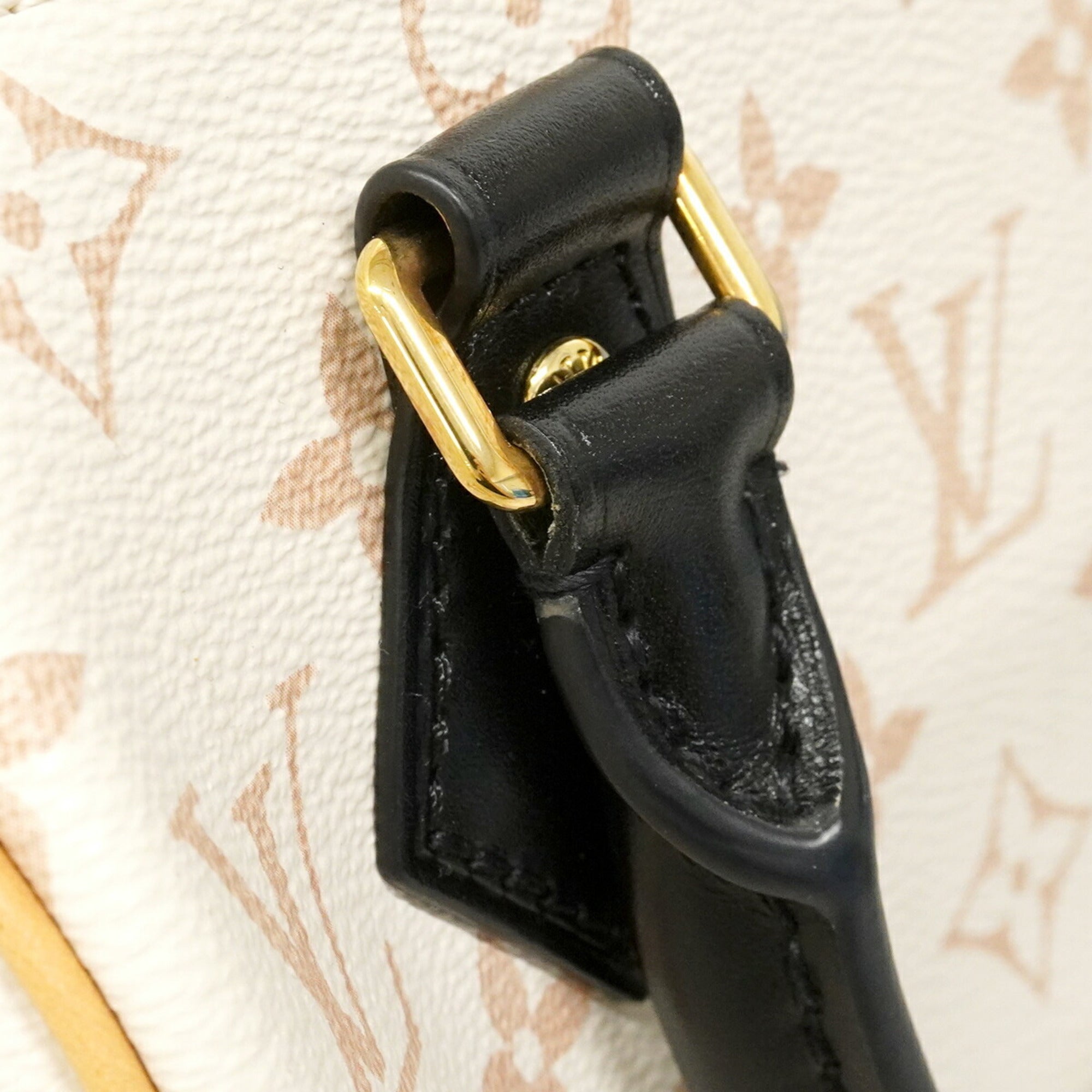 Louis Vuitton Beige Black Handbag (Pre-Owned)