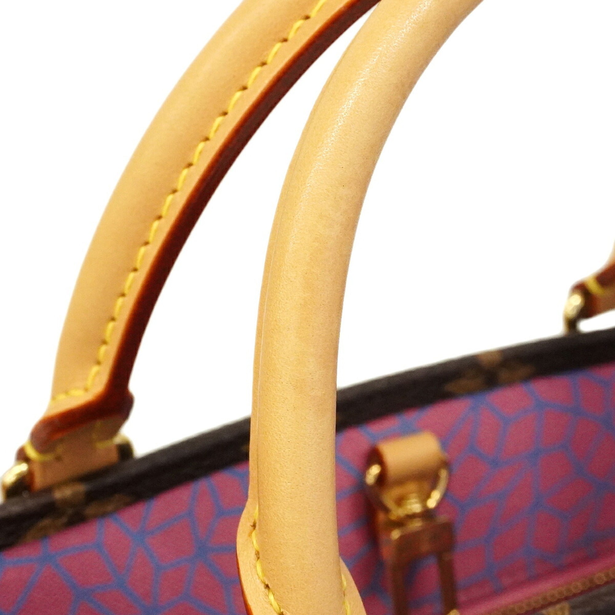 Louis Vuitton Brown Red Color Handbag (Pre-Owned)