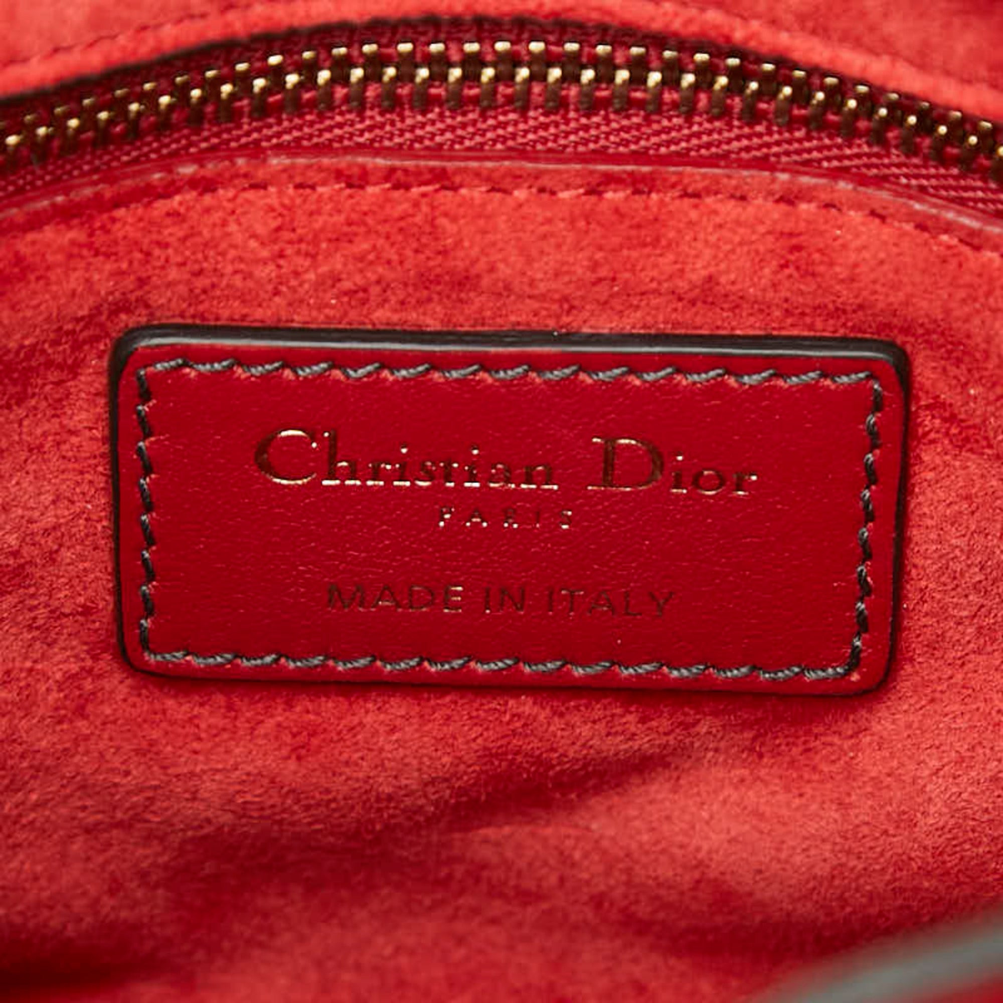 Christian Dior Red Color Leather Handbag Shoulder Bag (Pre-Owned)