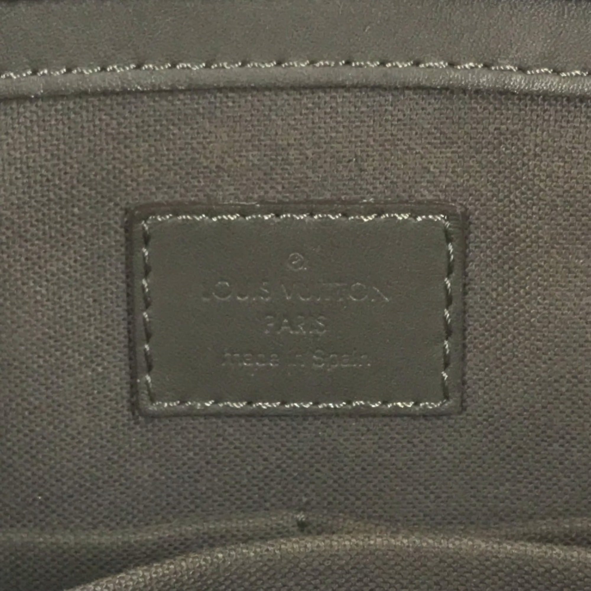 Louis Vuitton Brown Damier Canvas Infini Damier Infini Handbag Tote Bag (Pre-Owned)