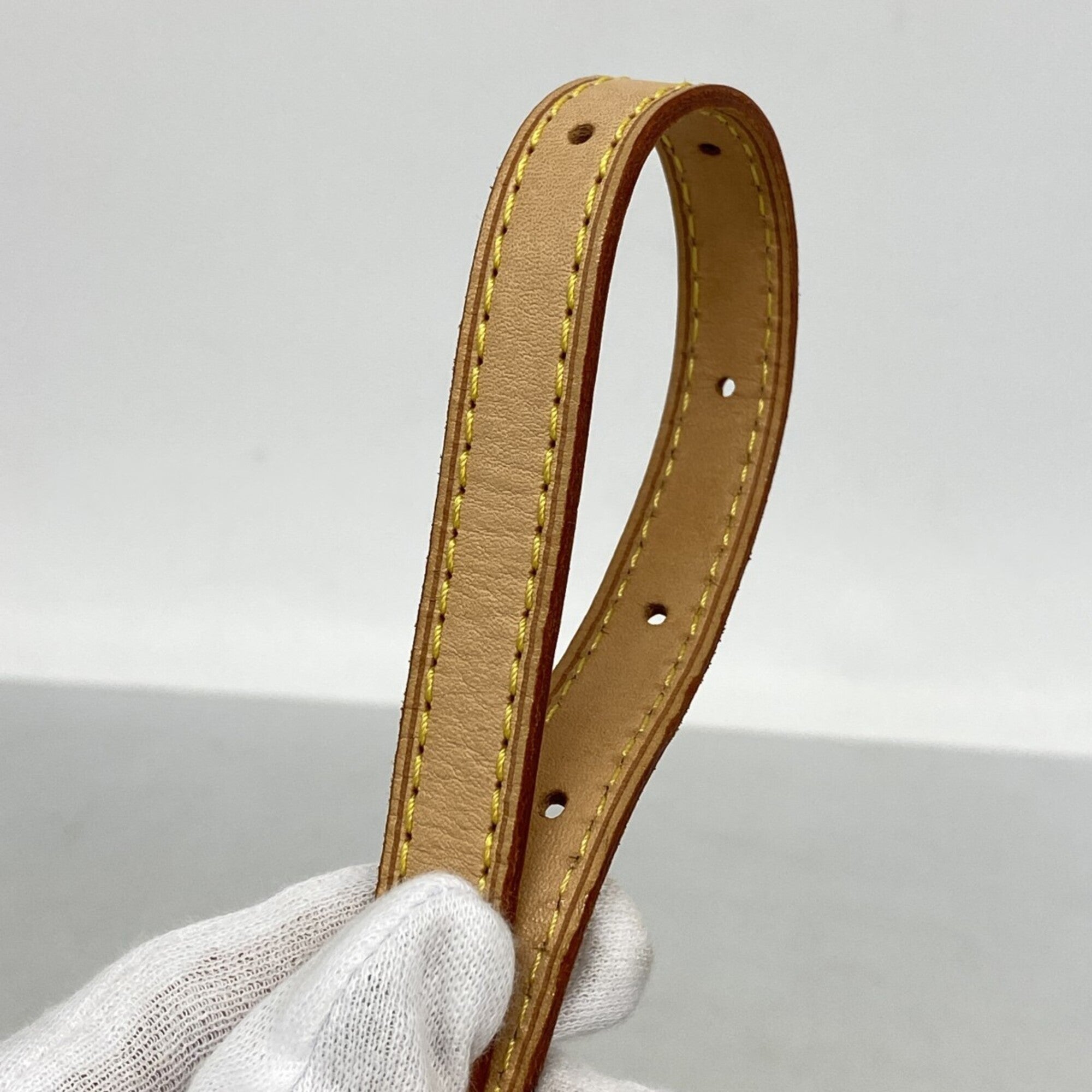 Louis Vuitton Brown Fanny Pack (Pre-Owned)