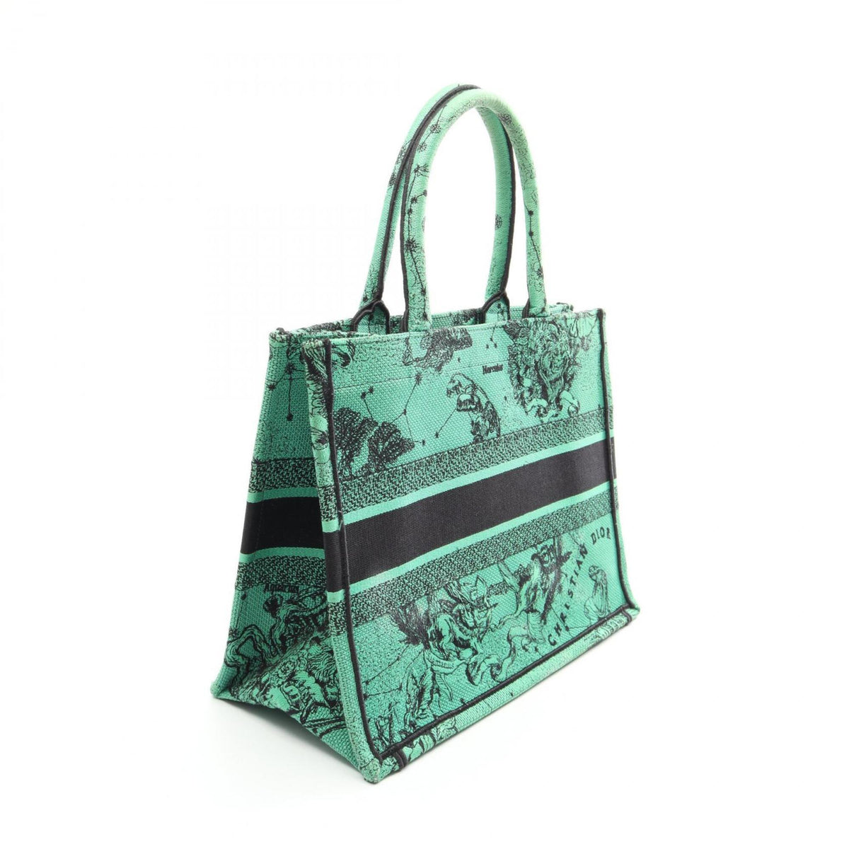 Christian Dior Black Green Canvas Handbag Tote Bag (Pre-Owned)