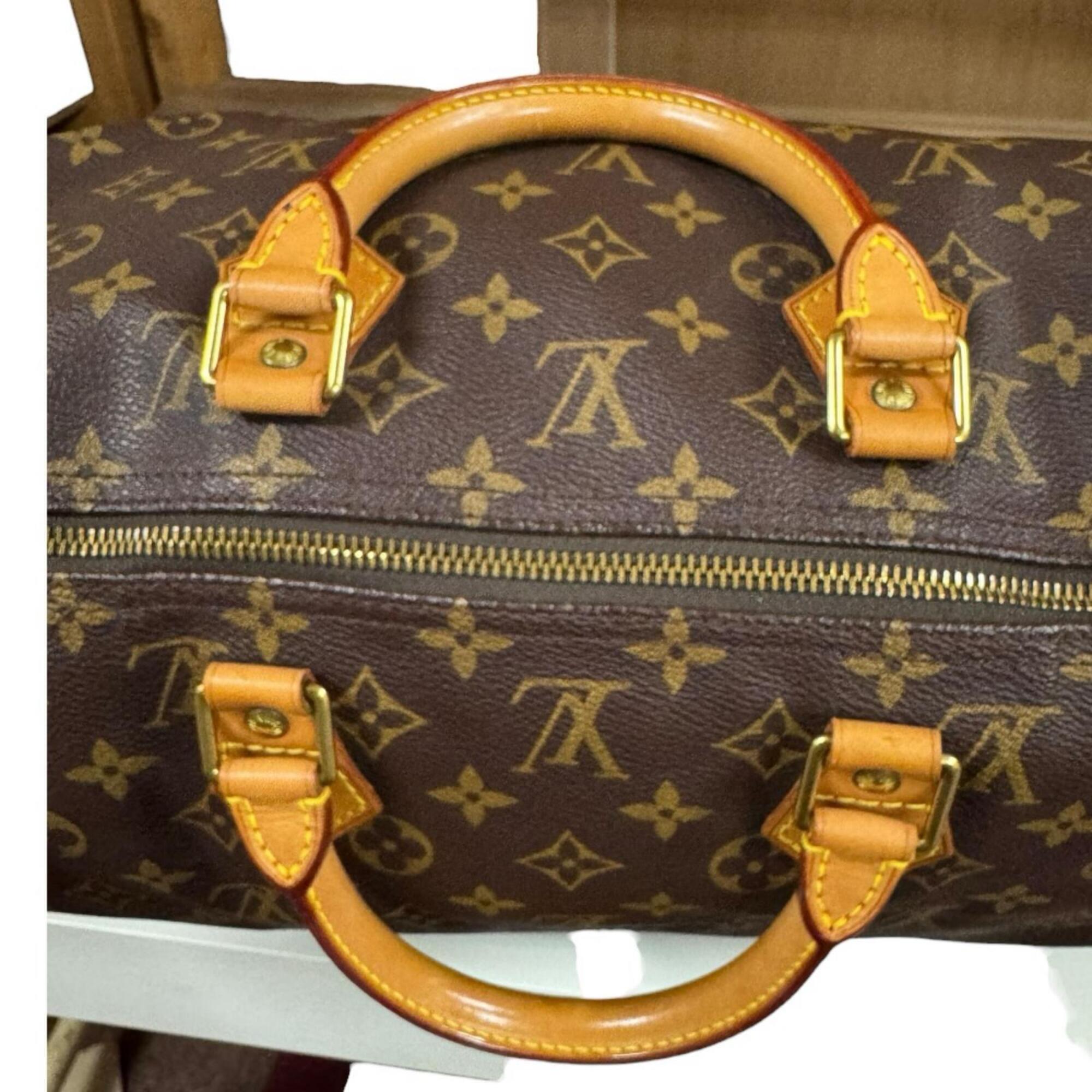 Louis Vuitton Monogram Brown Monogram Handbag (Pre-Owned)