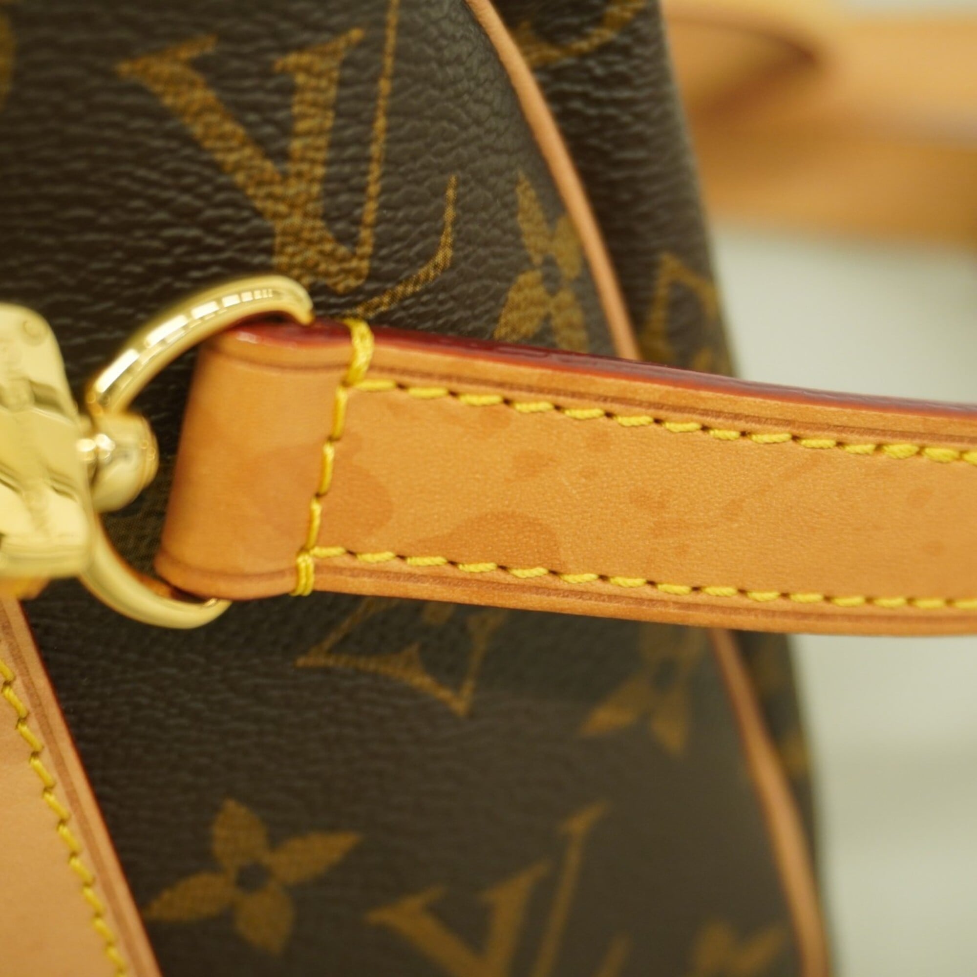 Louis Vuitton Brown Handbag (Pre-Owned)