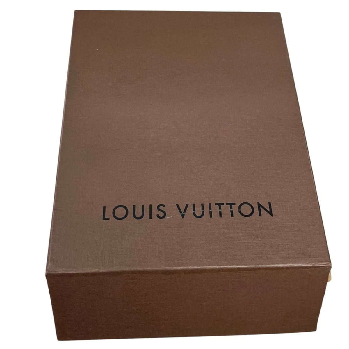 Louis Vuitton Beige Vernis Handbag (Pre-Owned)