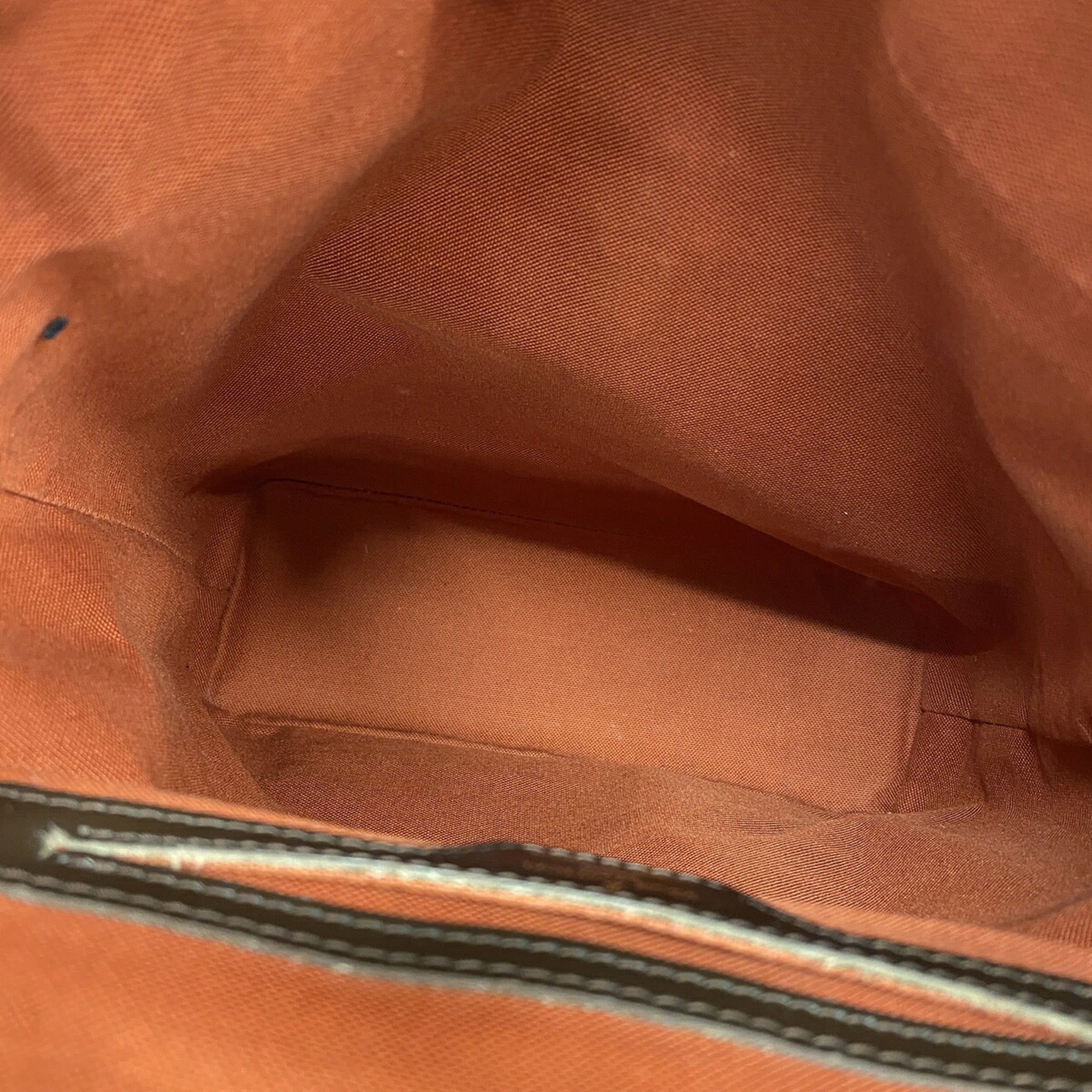 Louis Vuitton Ebene Backpack (Pre-Owned)