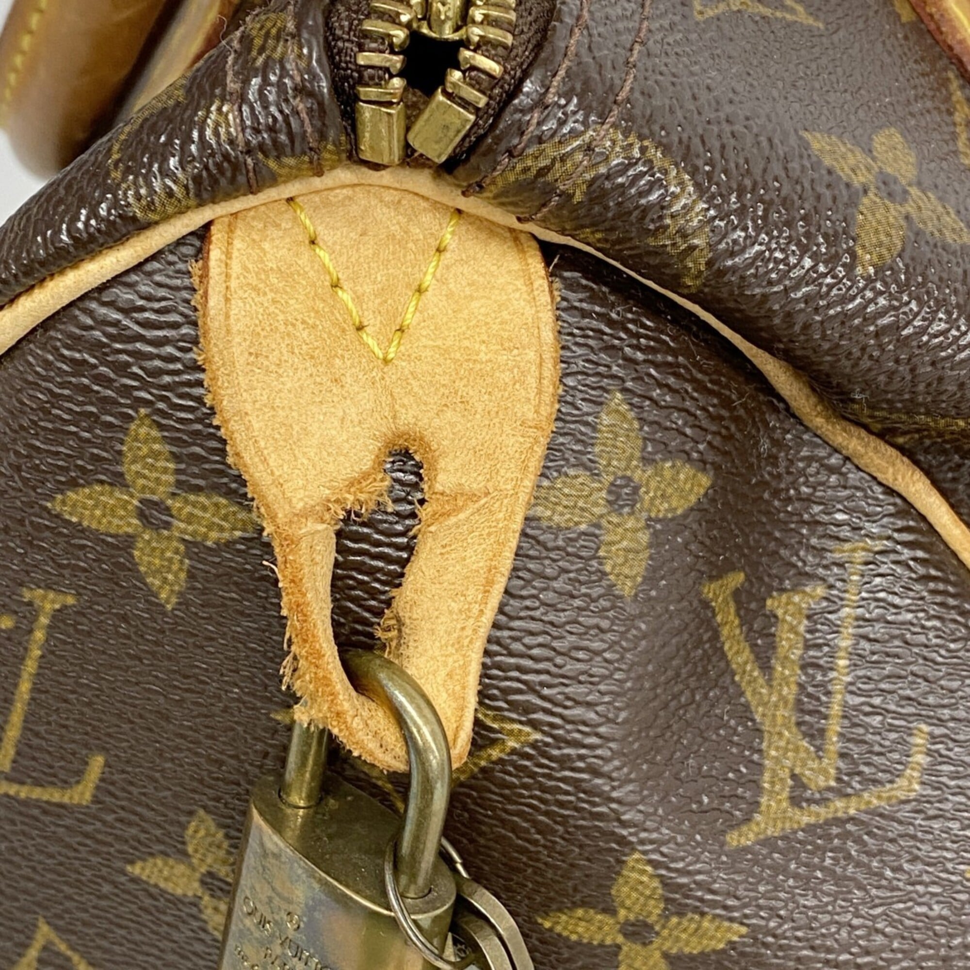 Louis Vuitton Brown Handbag (Pre-Owned)