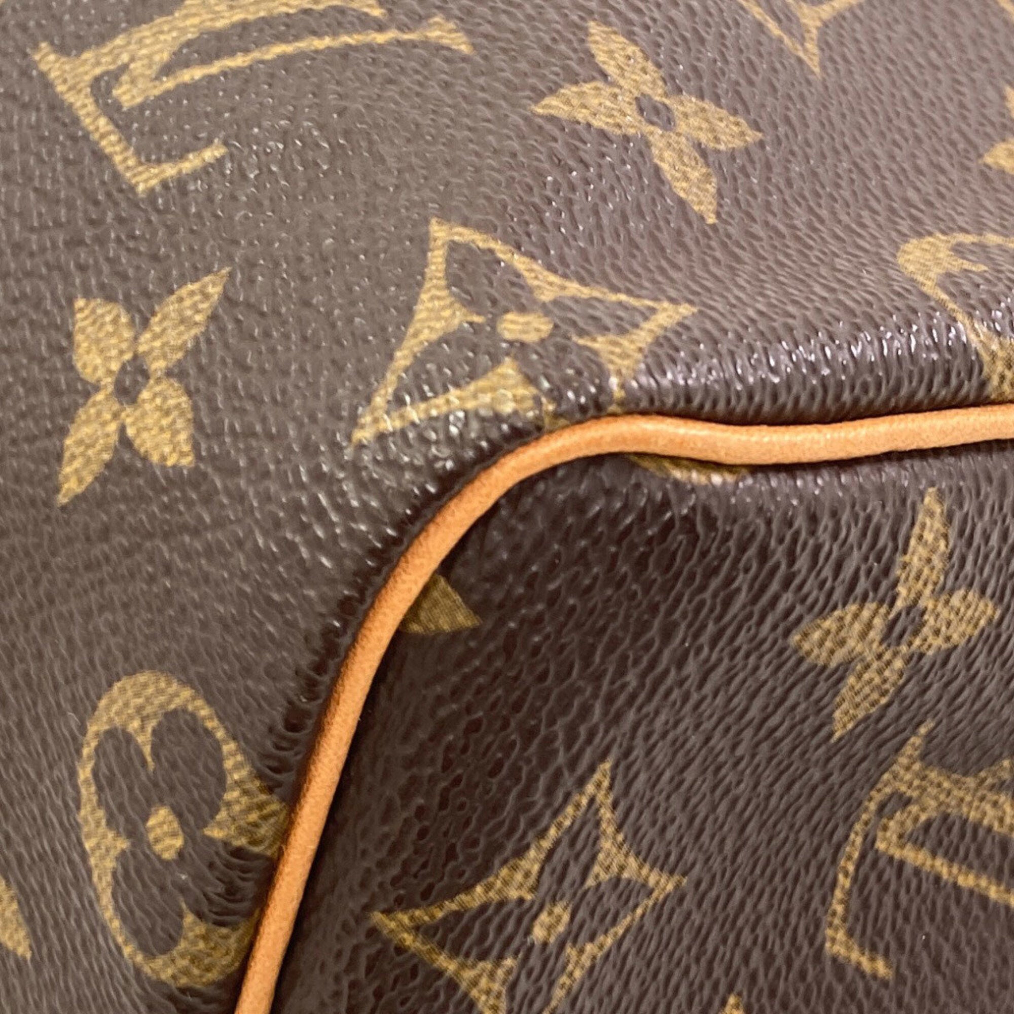 Louis Vuitton Monogram Monogram Monogram Handbag (Pre-Owned)