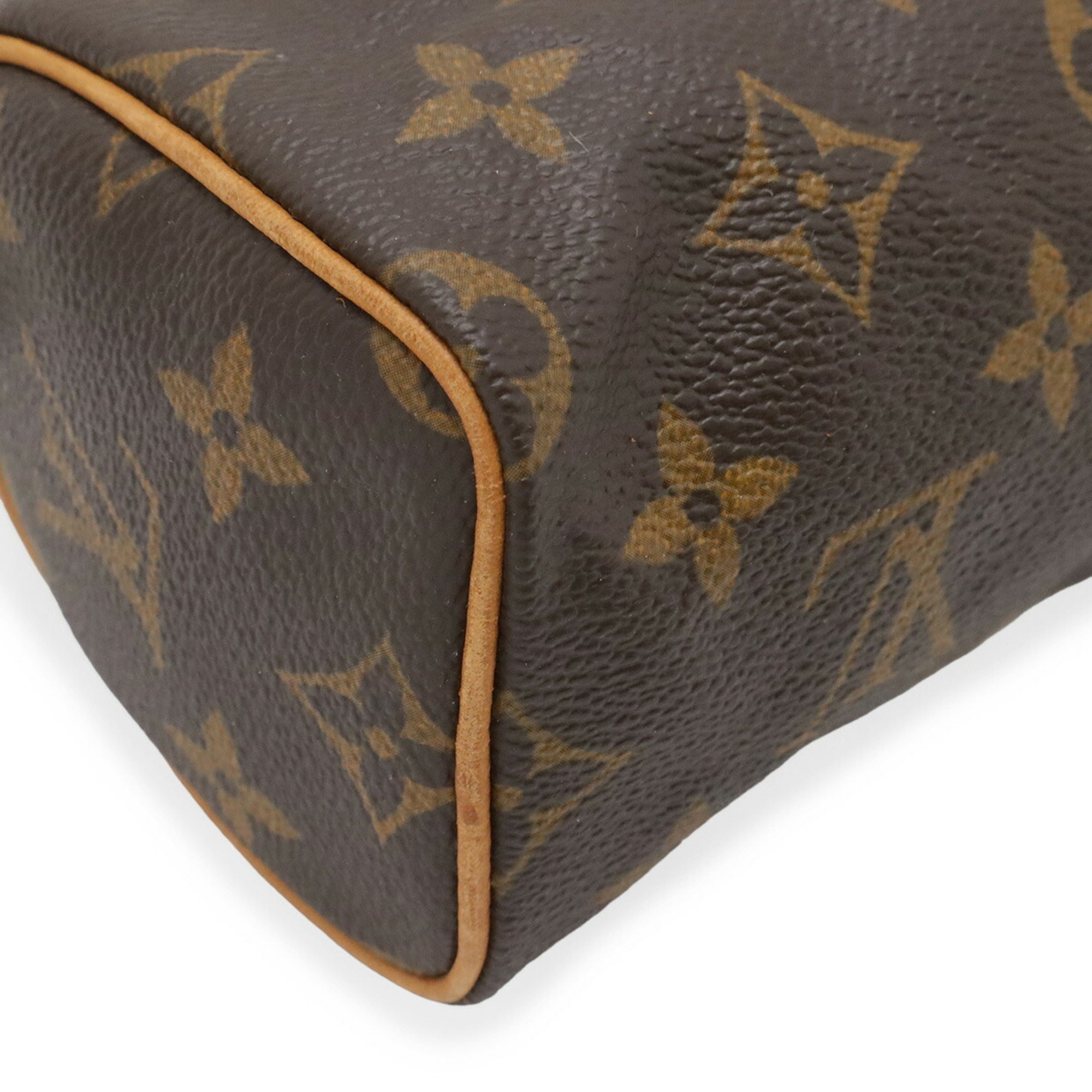 Louis Vuitton Brown Monogram Monogram Mini Handbag Pouch (Pre-Owned)