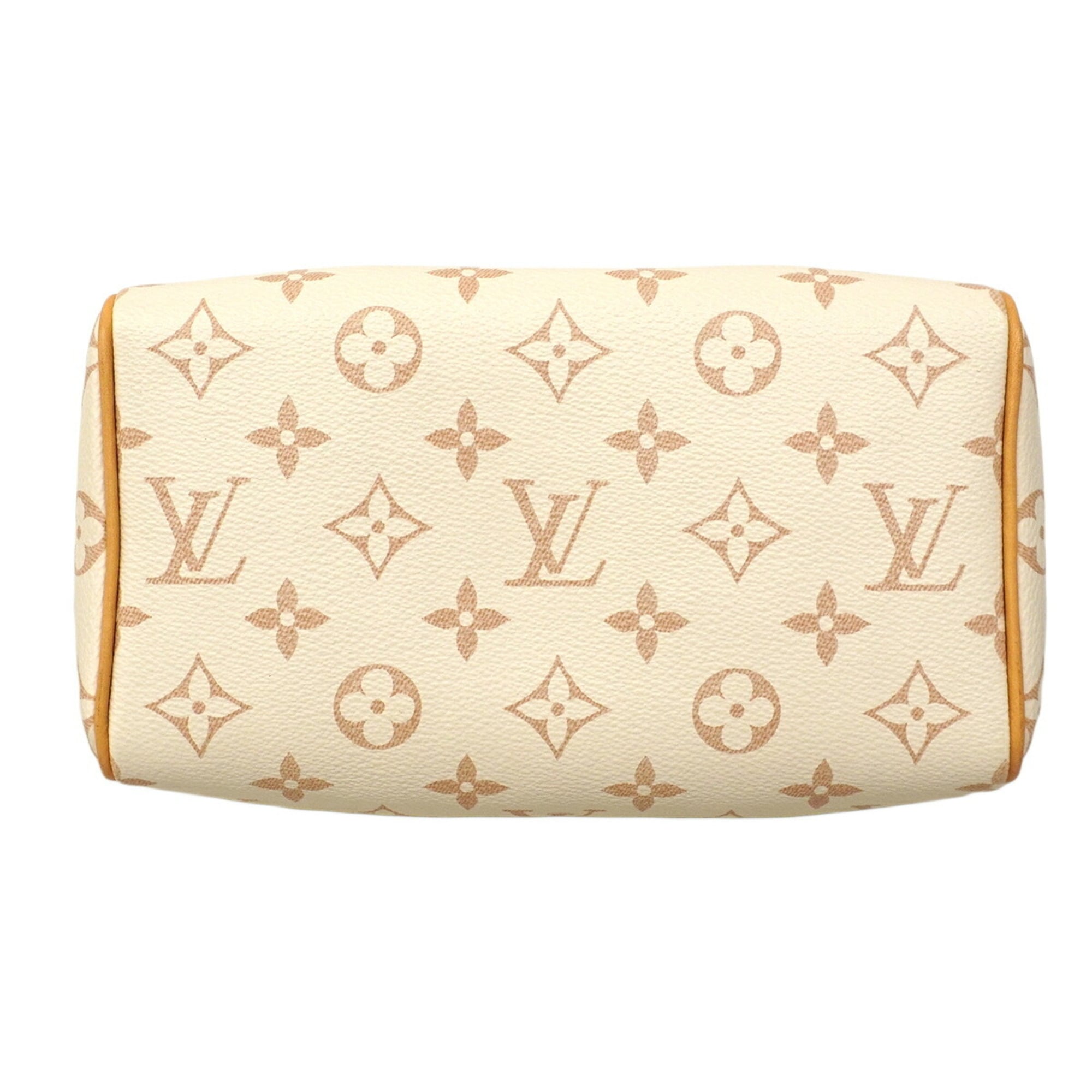 Louis Vuitton Beige Black Handbag (Pre-Owned)