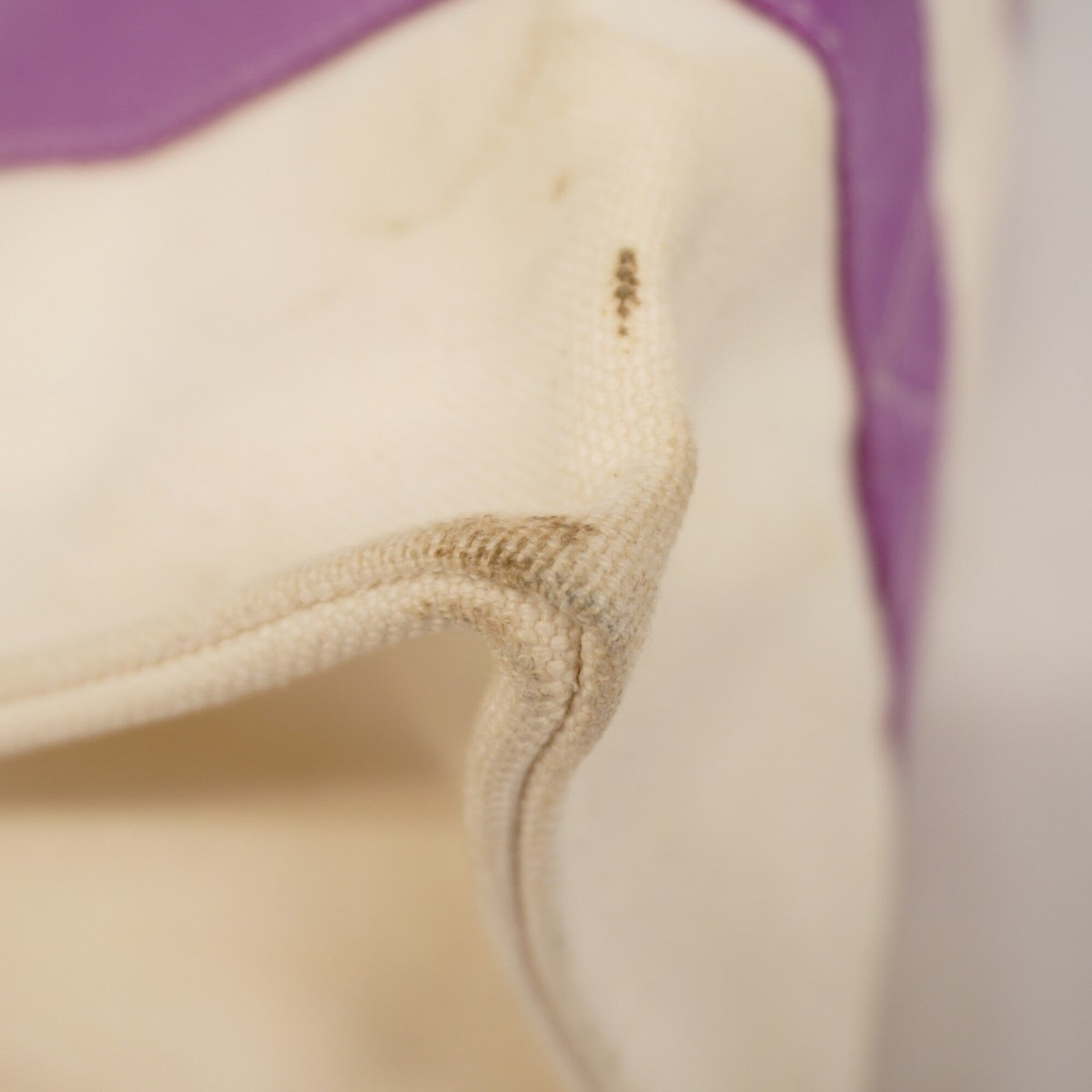 Hermes Purple Canvas Tote Bag (Pre-Owned)