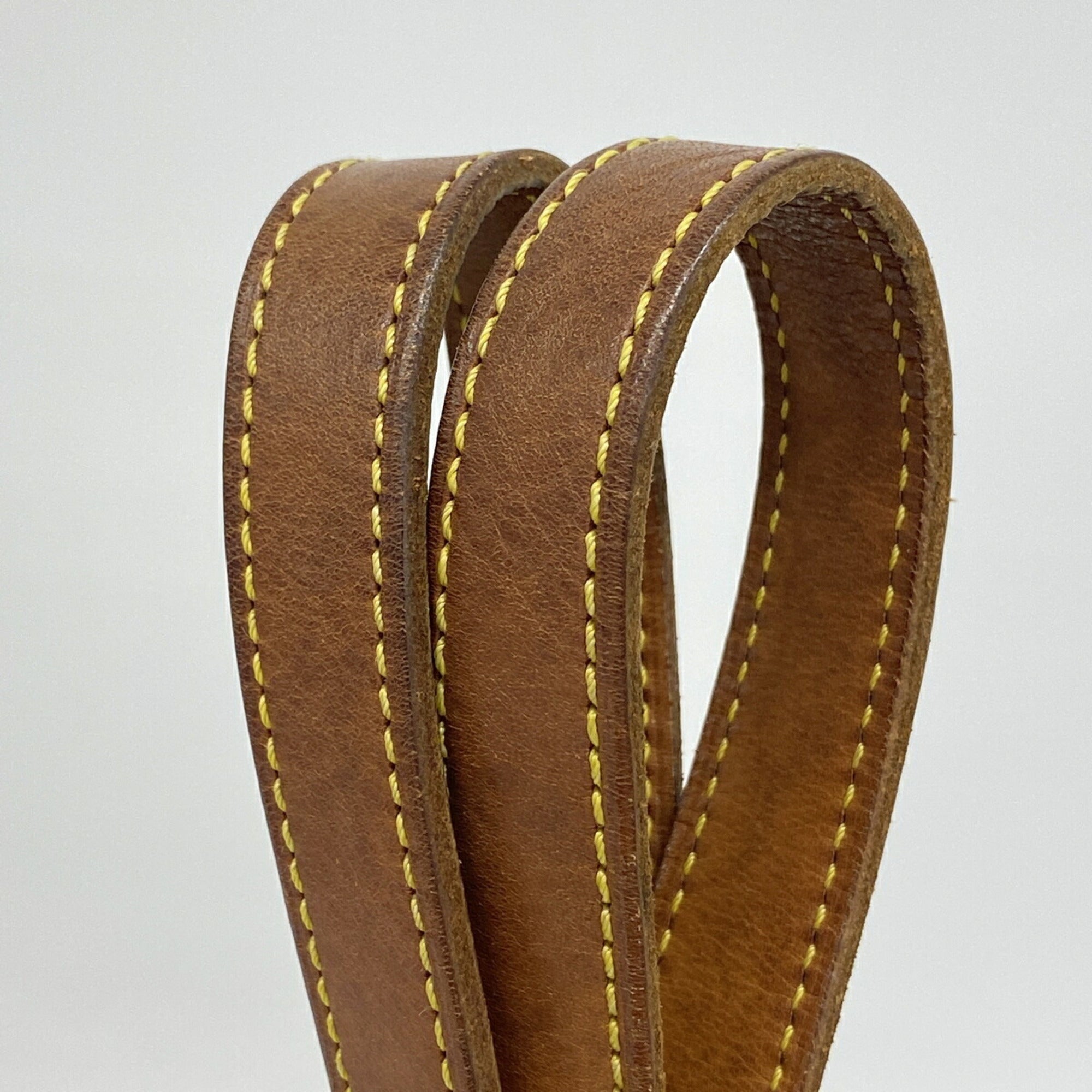Louis Vuitton Ebene Tote Bag (Pre-Owned)