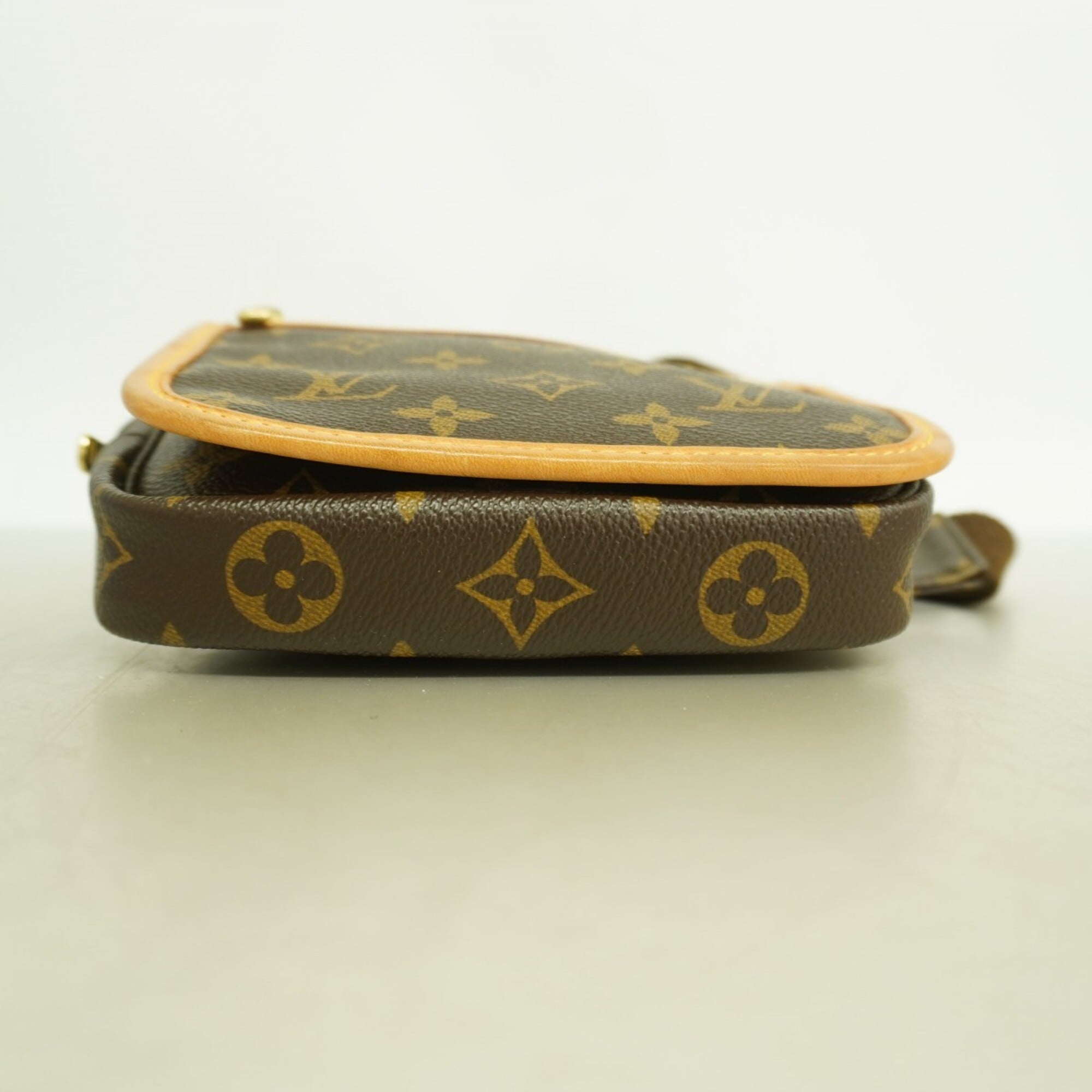 Louis Vuitton Brown Fanny Pack (Pre-Owned)
