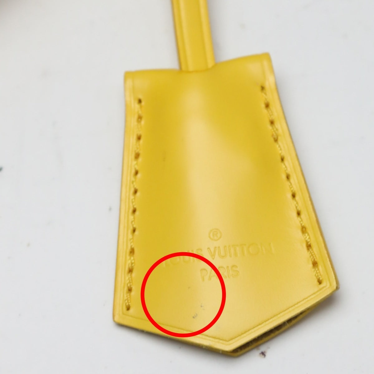 Louis Vuitton Citron Epi Leather Handbag (Pre-Owned)
