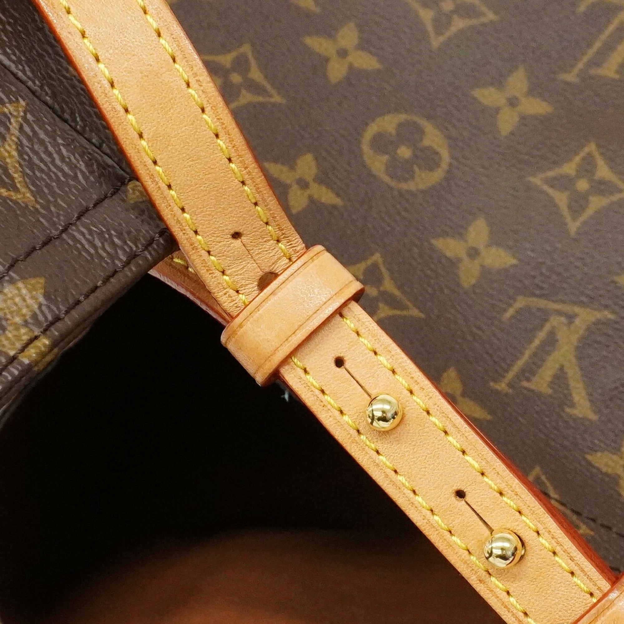 Louis Vuitton Brown Tote Bag (Pre-Owned)
