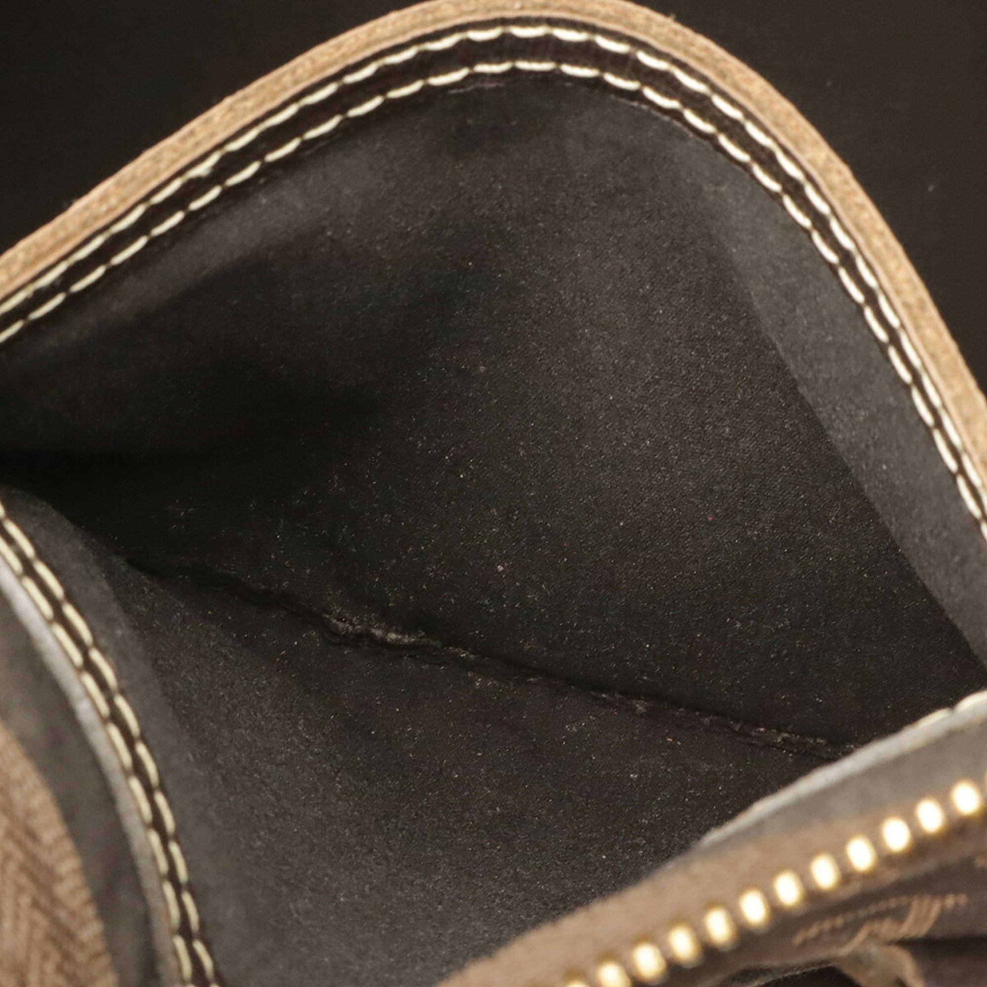 Louis Vuitton Ebene Canvas Leather Handbag (Pre-Owned)