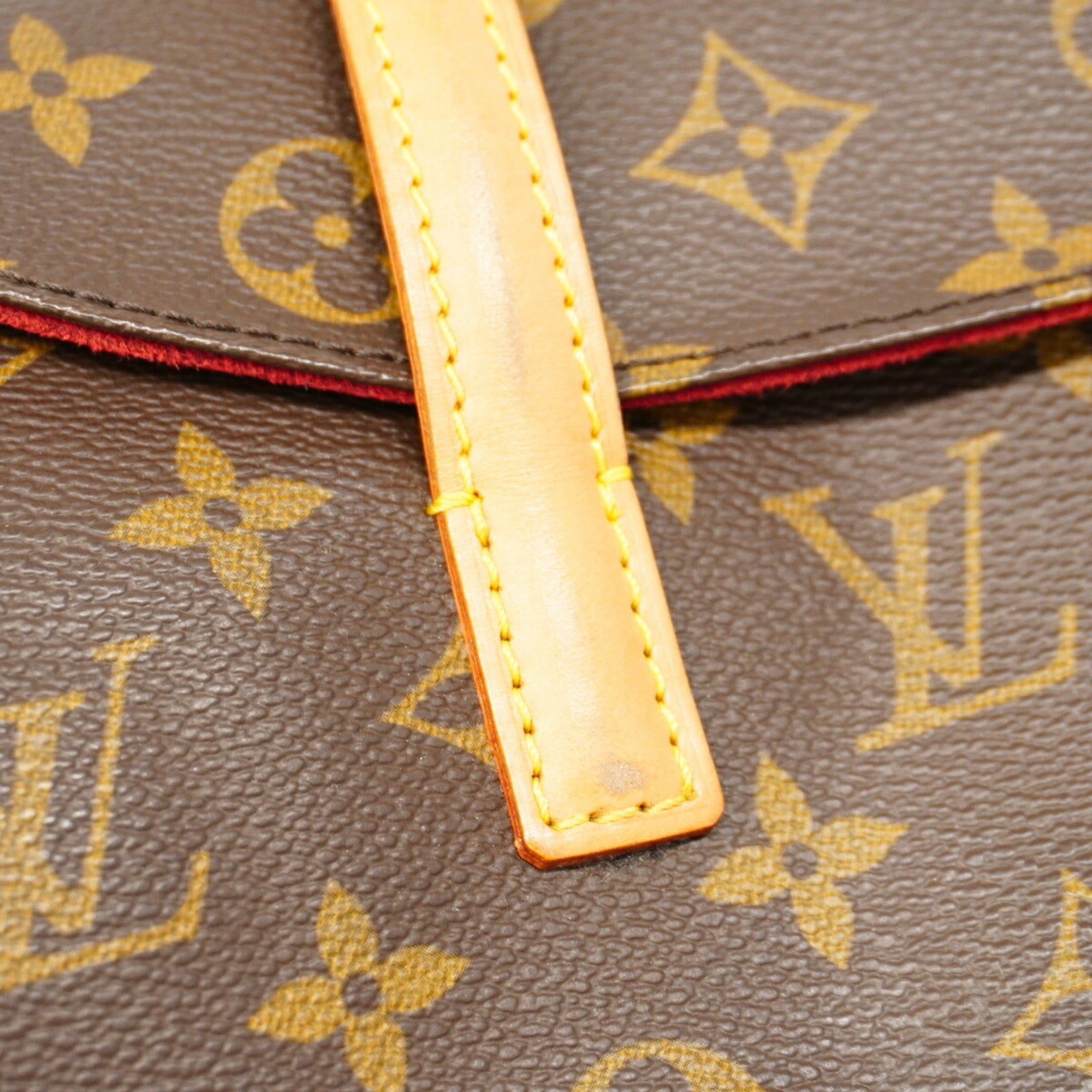 Louis Vuitton Brown Handbag (Pre-Owned)