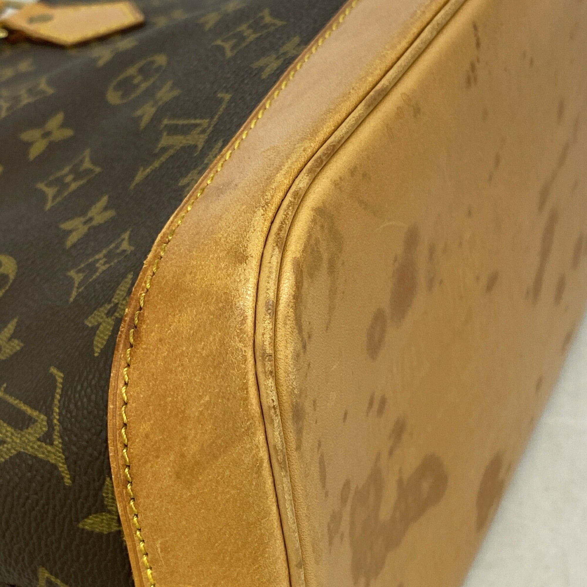 Louis Vuitton Brown Handbag (Pre-Owned)