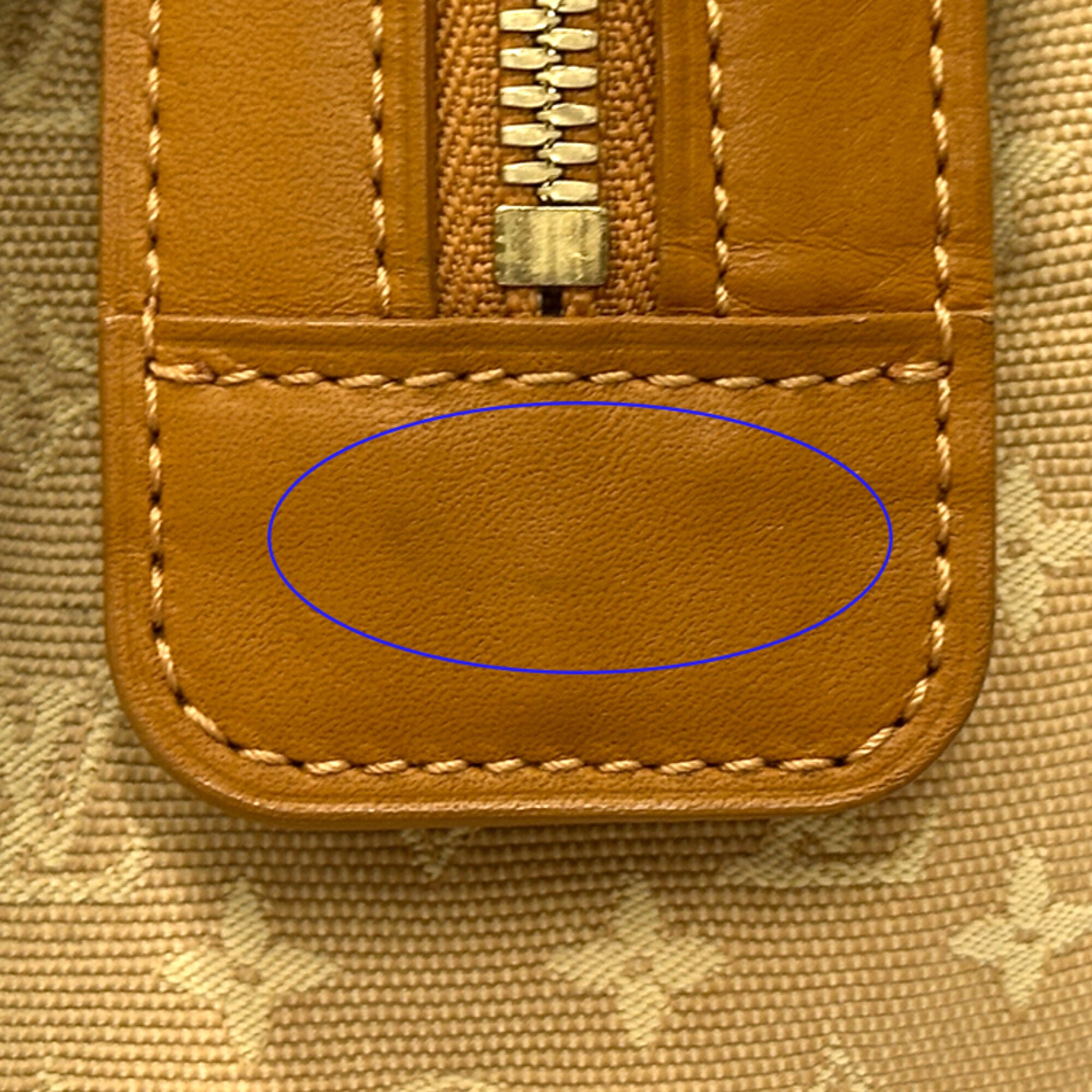 Louis Vuitton Beige Brown Monogram Mini Canvas Handbag (Pre-Owned)