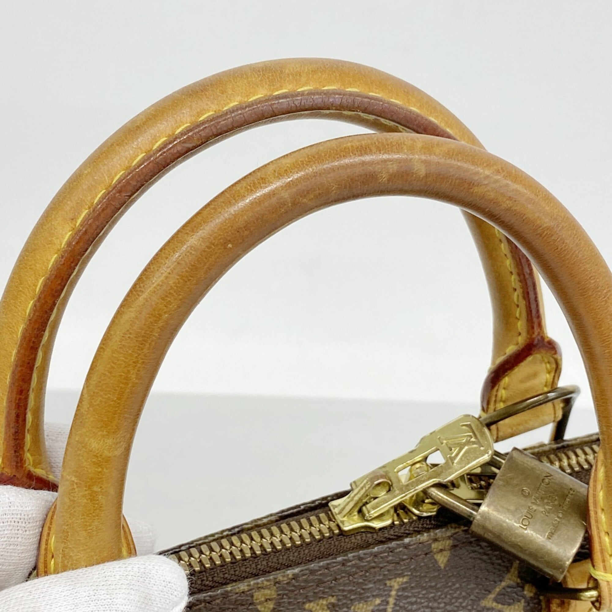 Louis Vuitton Brown Handbag (Pre-Owned)