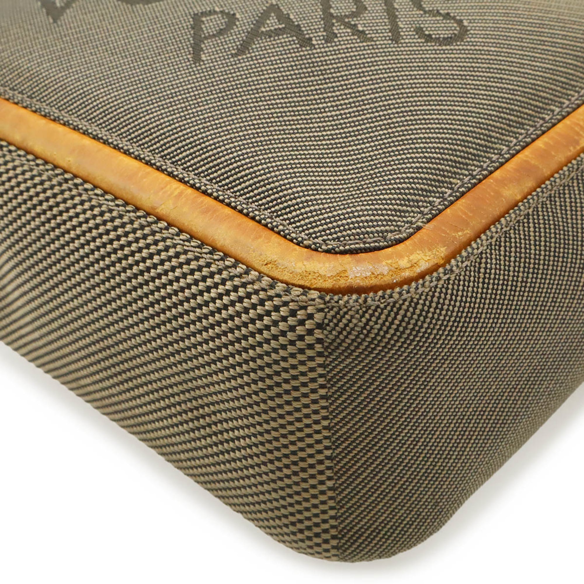 Louis Vuitton Earth Damier Geant Canvas Shoulder Bag (Pre-Owned)