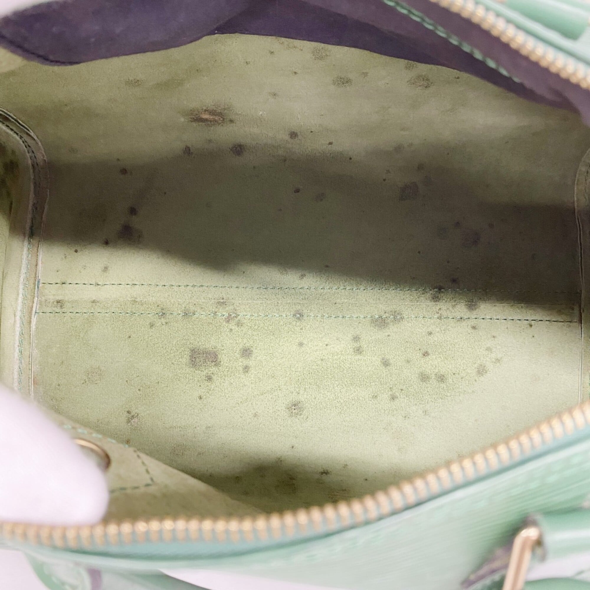 Louis Vuitton Borneo Green Handbag (Pre-Owned)