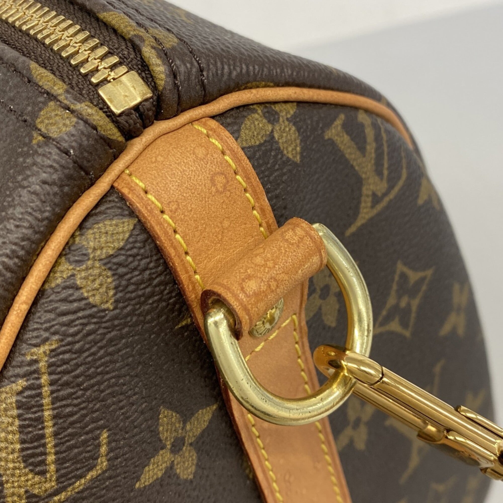 Louis Vuitton Brown Handbag (Pre-Owned)