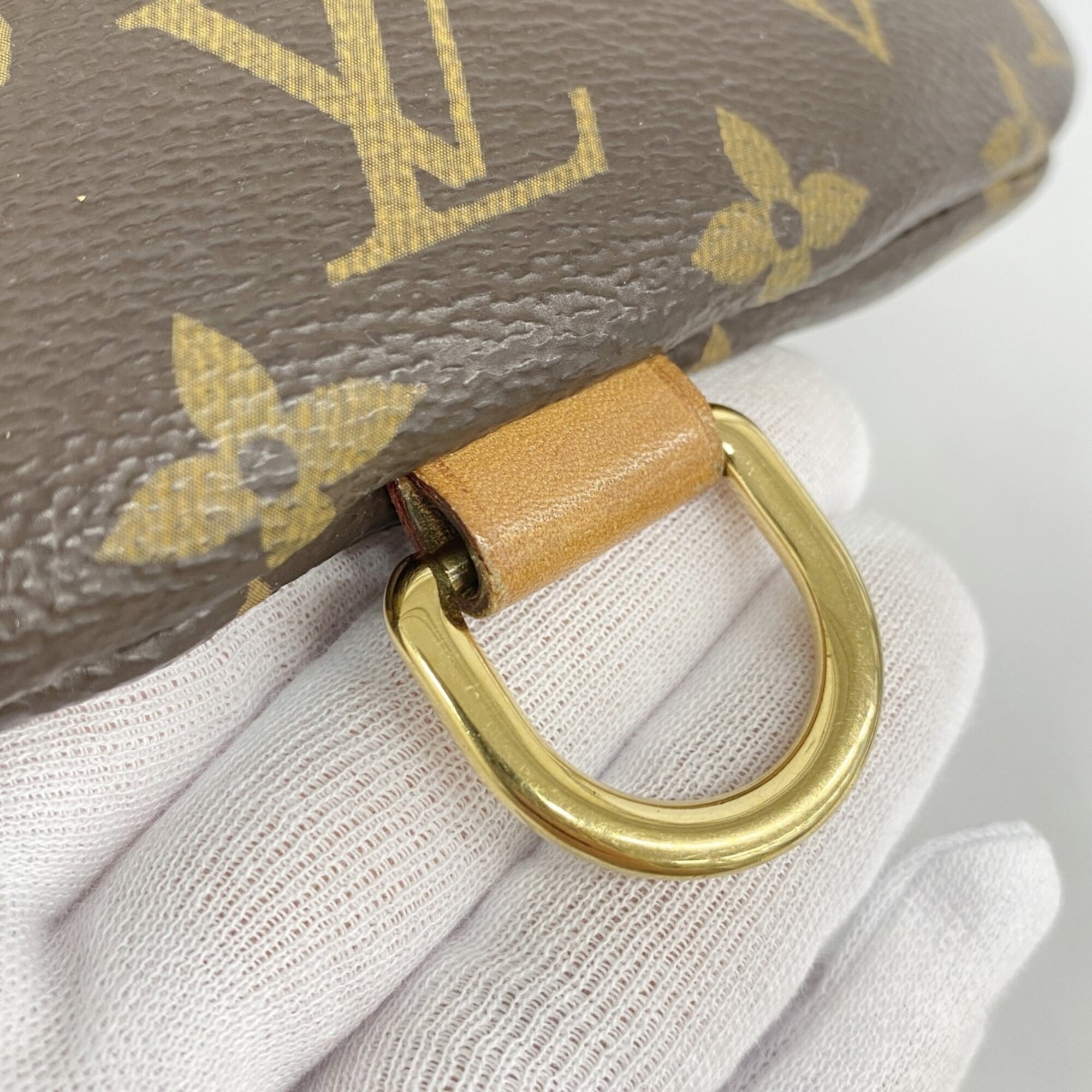 Louis Vuitton Brown Fanny Pack (Pre-Owned)