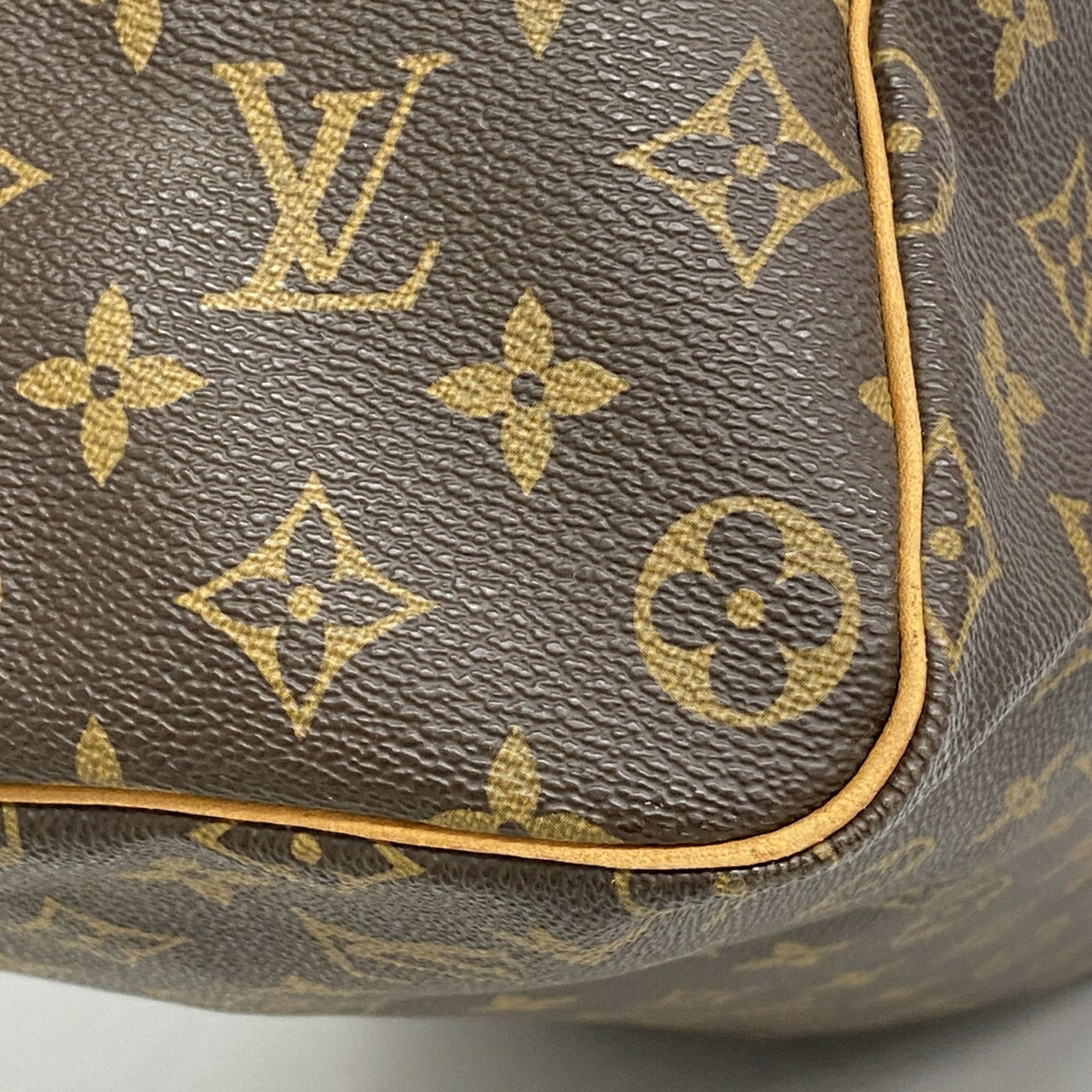 Louis Vuitton Brown Handbag (Pre-Owned)