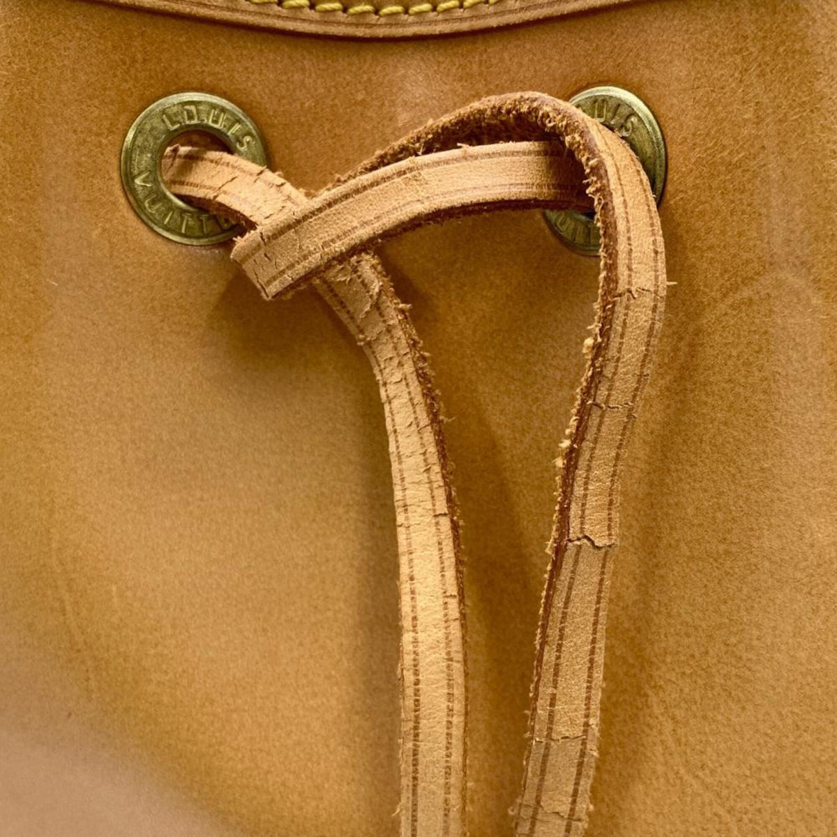 Louis Vuitton Beige Nomade Leather Handbag (Pre-Owned)