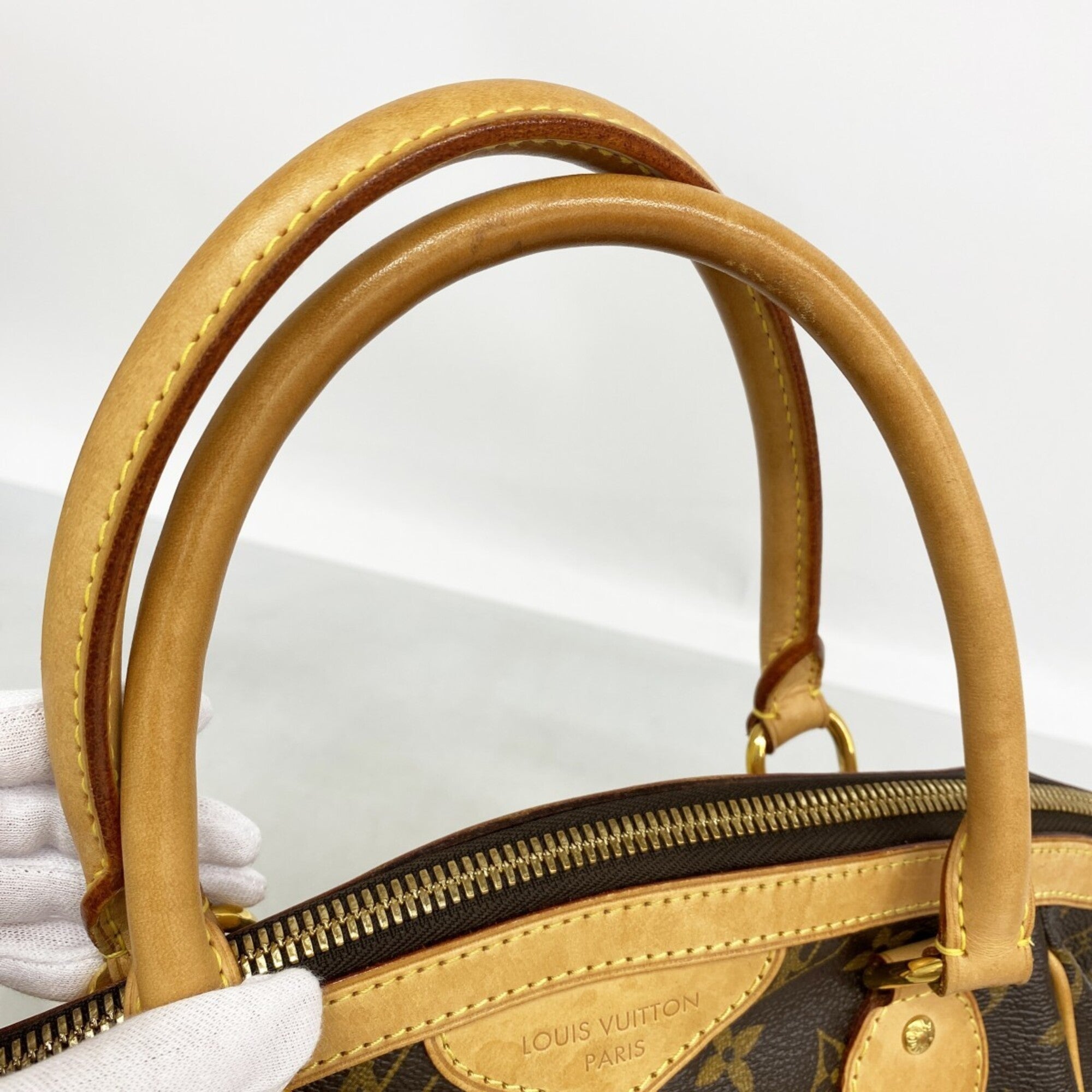 Louis Vuitton Brown Handbag (Pre-Owned)
