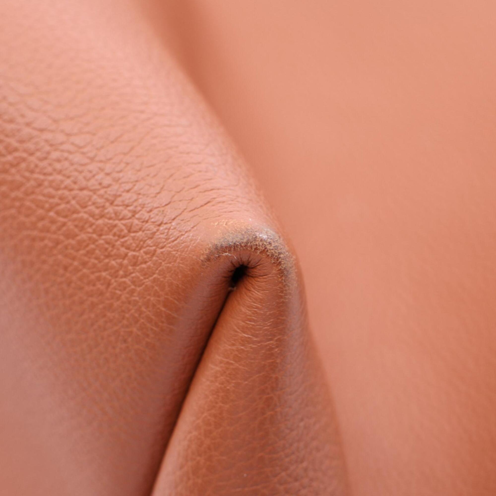 Louis Vuitton Brown Leather Handbag Pouch Shoulder Bag (Pre-Owned)