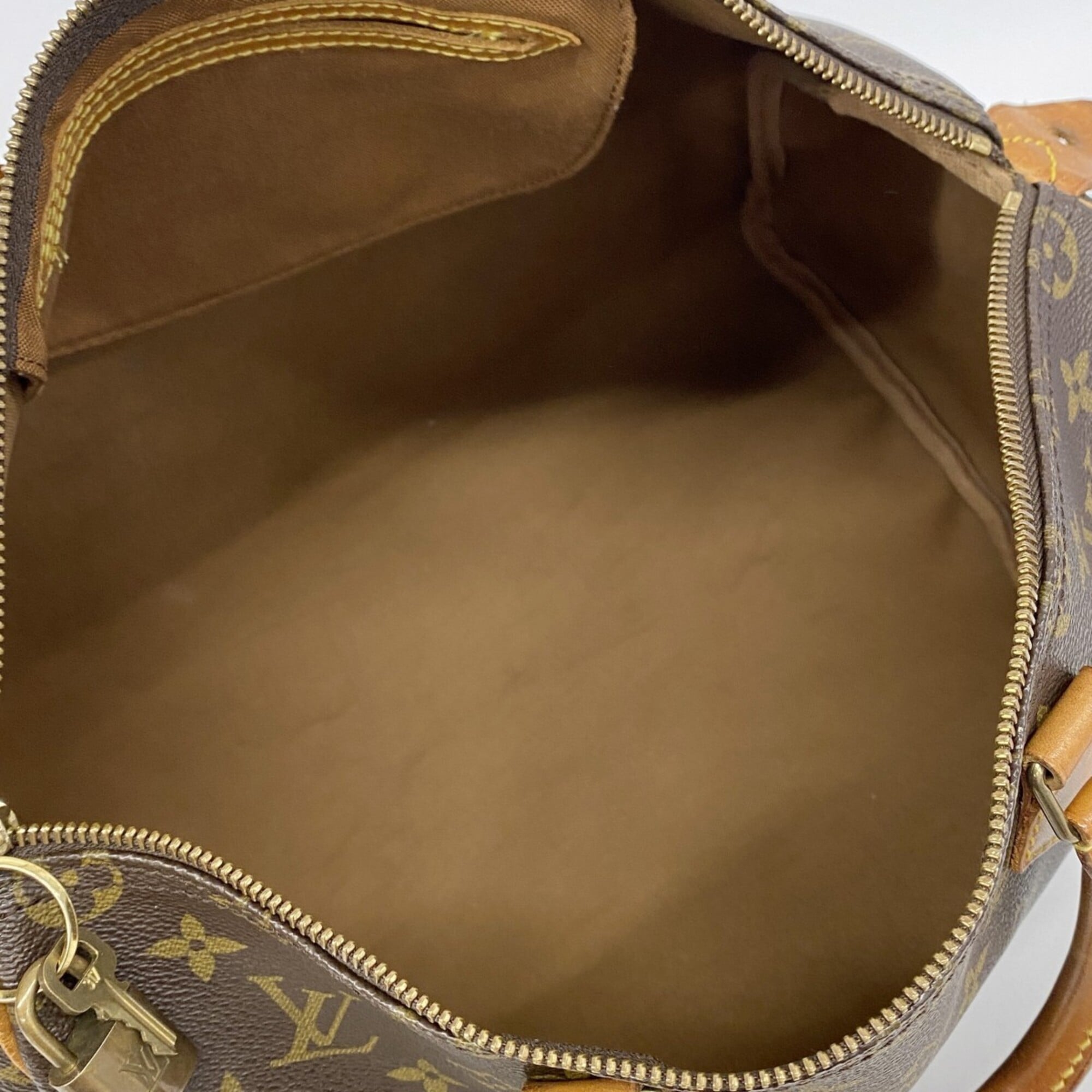 Louis Vuitton Brown Handbag (Pre-Owned)
