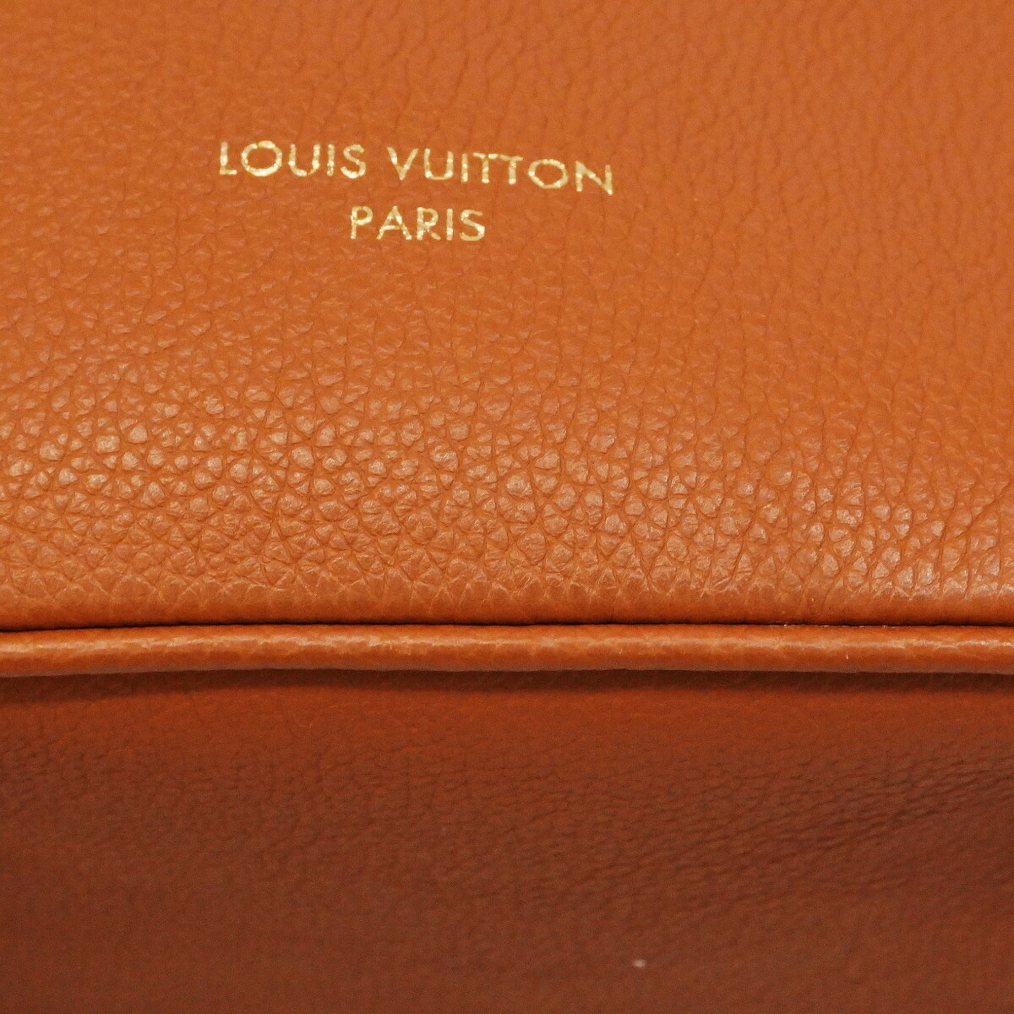 Louis Vuitton Cognac Handbag (Pre-Owned)