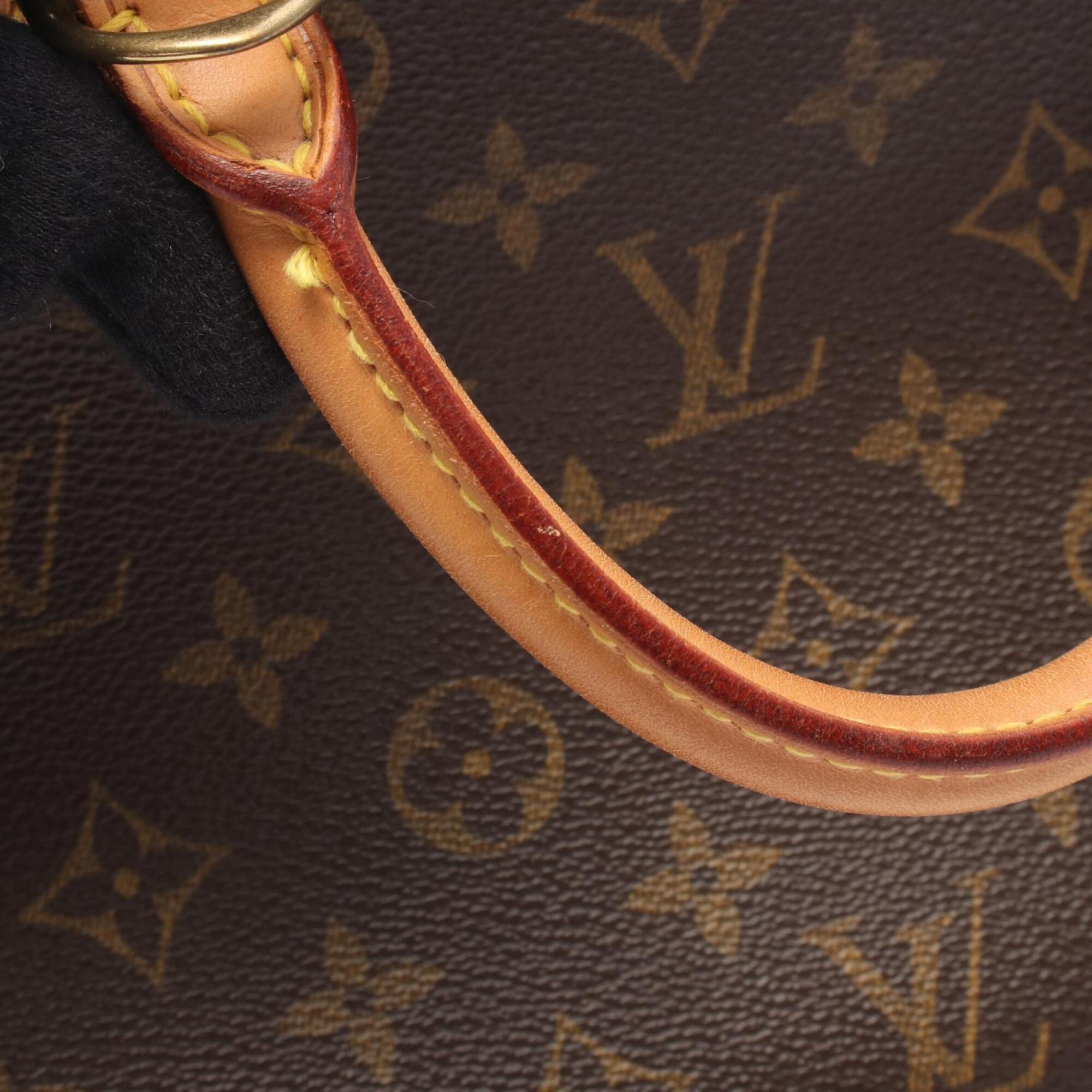 Louis Vuitton Brown Coated Canvas Pvc Monogram Leather Handbag (Pre-Owned)