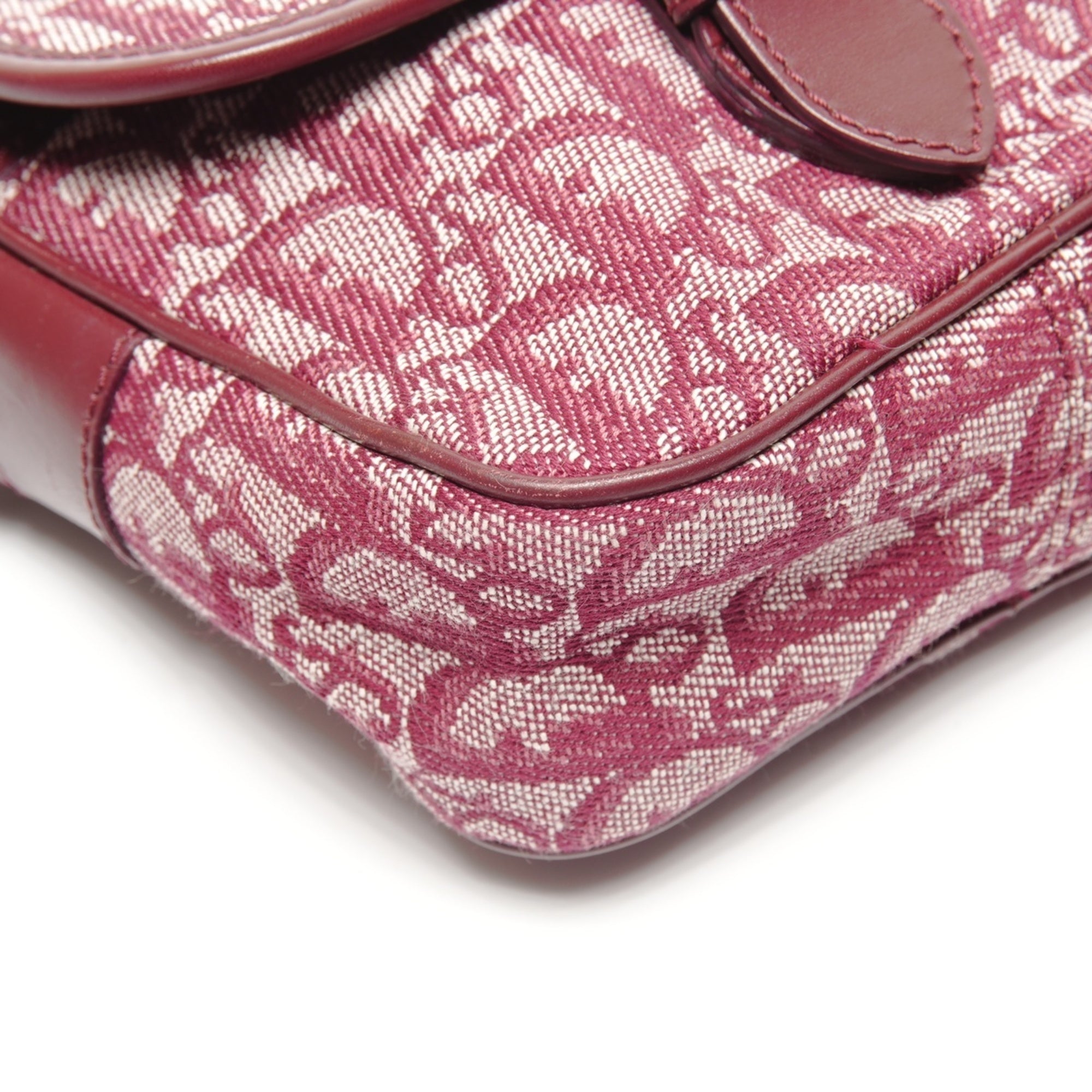 Christian Dior Trotter Red Color Canvas Shoulder Bag (Pre-Owned)