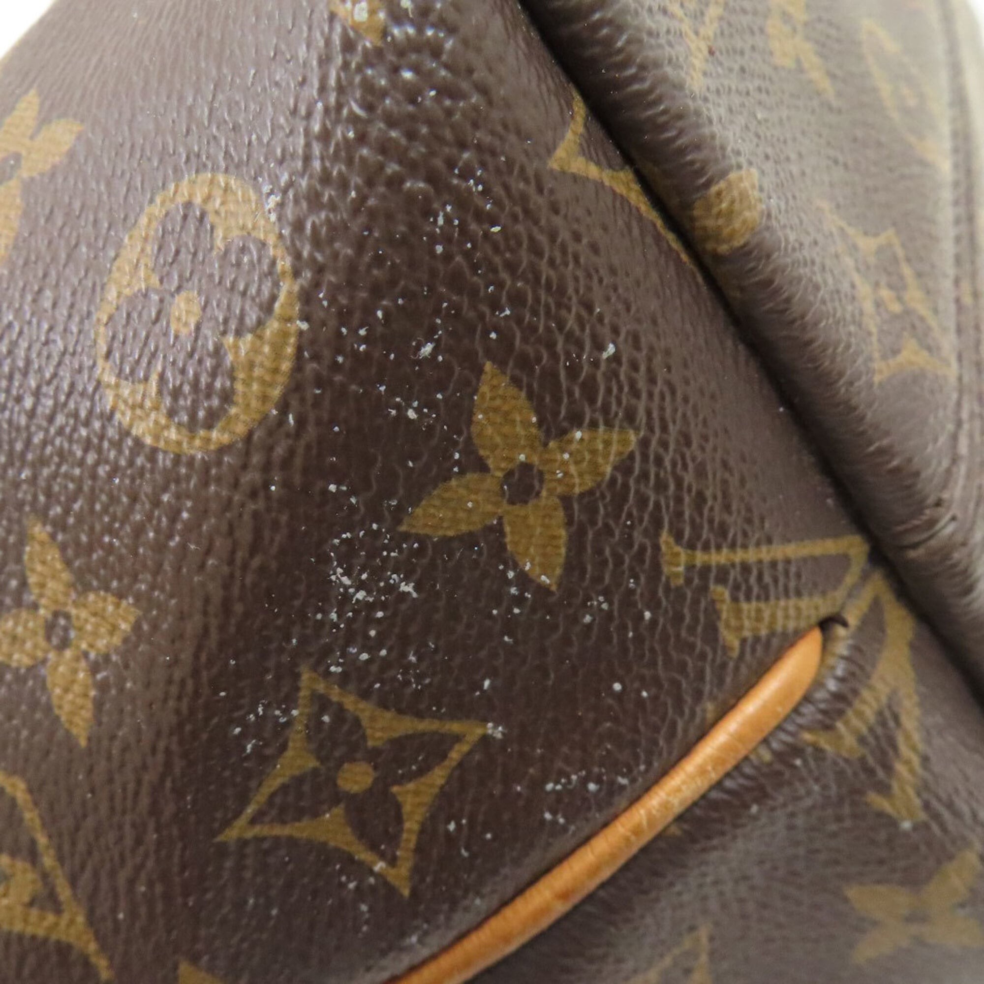 Louis Vuitton Monogram Monogram Monogram Handbag (Pre-Owned)