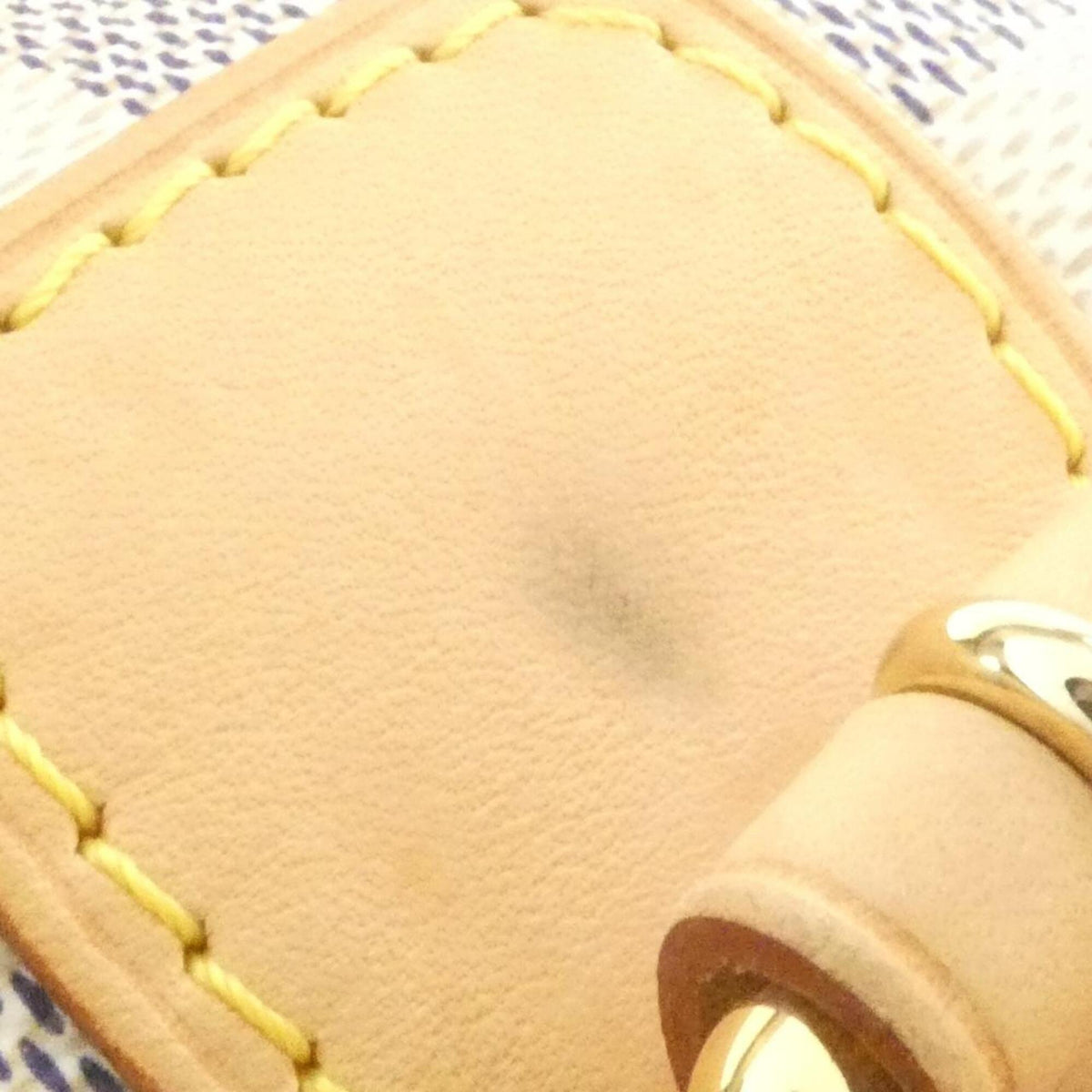 Louis Vuitton Azur Coated Canvas Handbag (Pre-Owned)