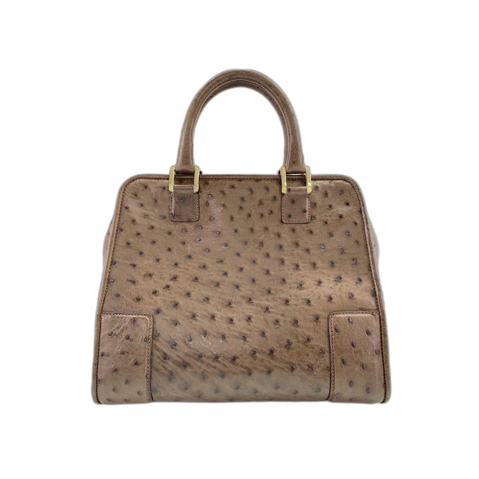 Loewe Amazona Brown Handbag (Pre-Owned)