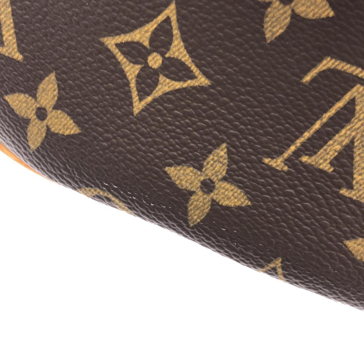 Louis Vuitton Monogram Marron Coated Canvas Handbag (Pre-Owned)