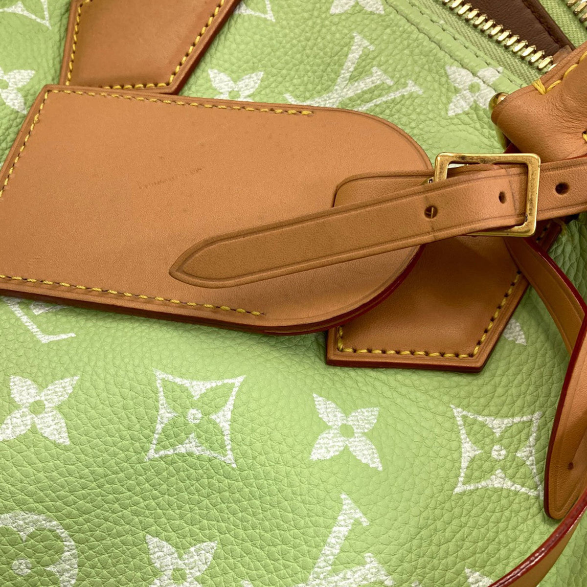 Louis Vuitton Green Monogram Monogram Canvas Leather Handbag (Pre-Owned)
