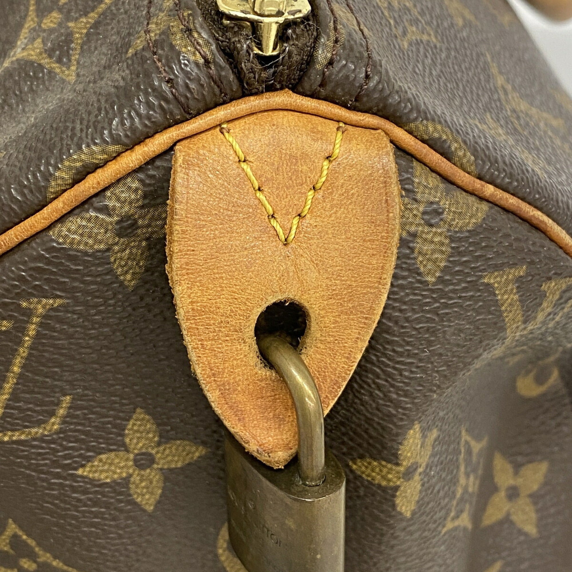 Louis Vuitton Brown Handbag (Pre-Owned)